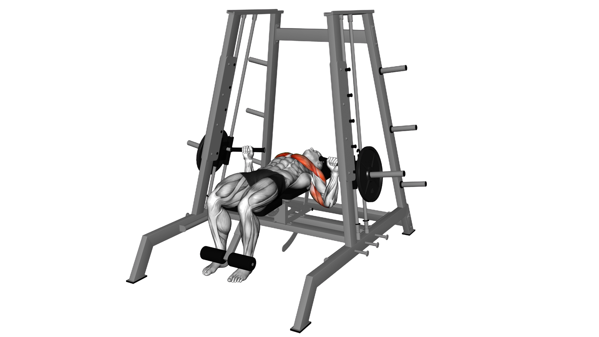Lever Tower Chest Press exercise demonstration