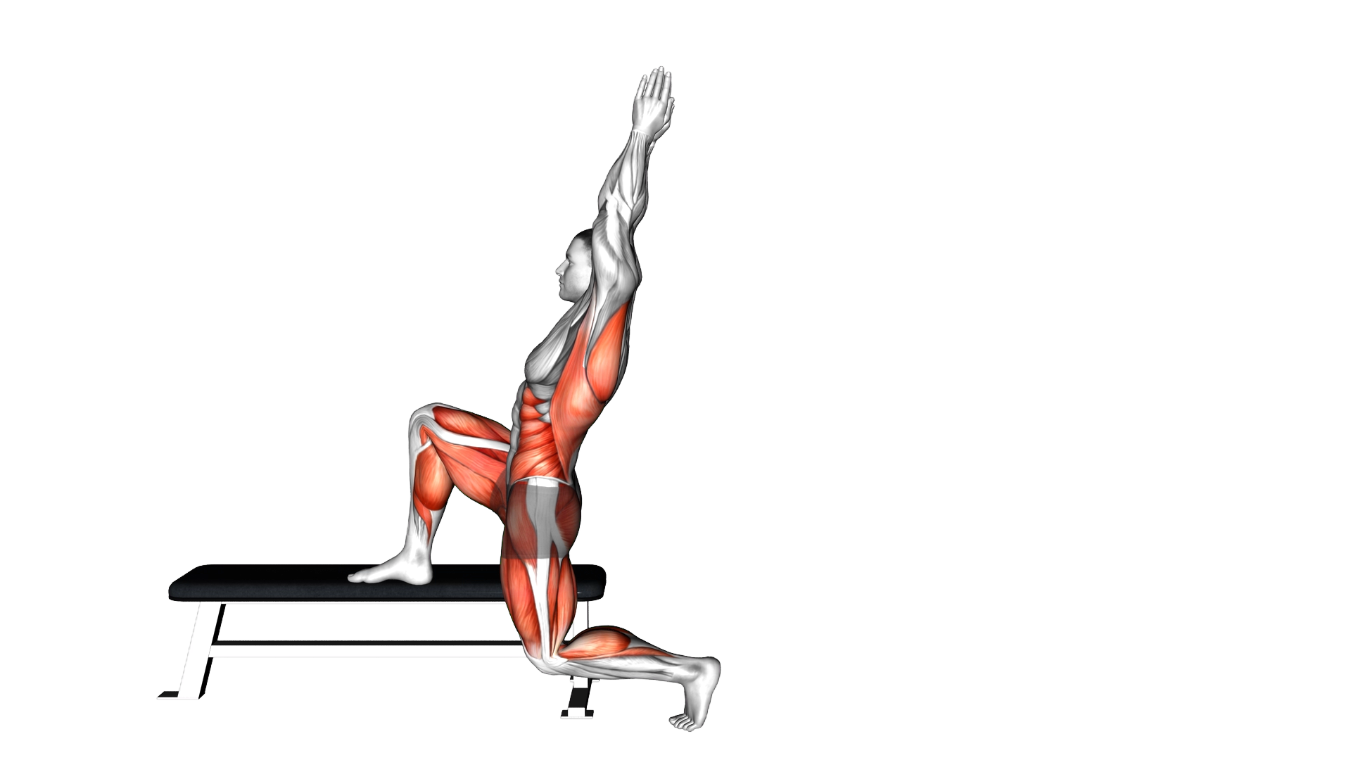 Single Leg Hinge to Hip Flexor Reach exercise demonstration