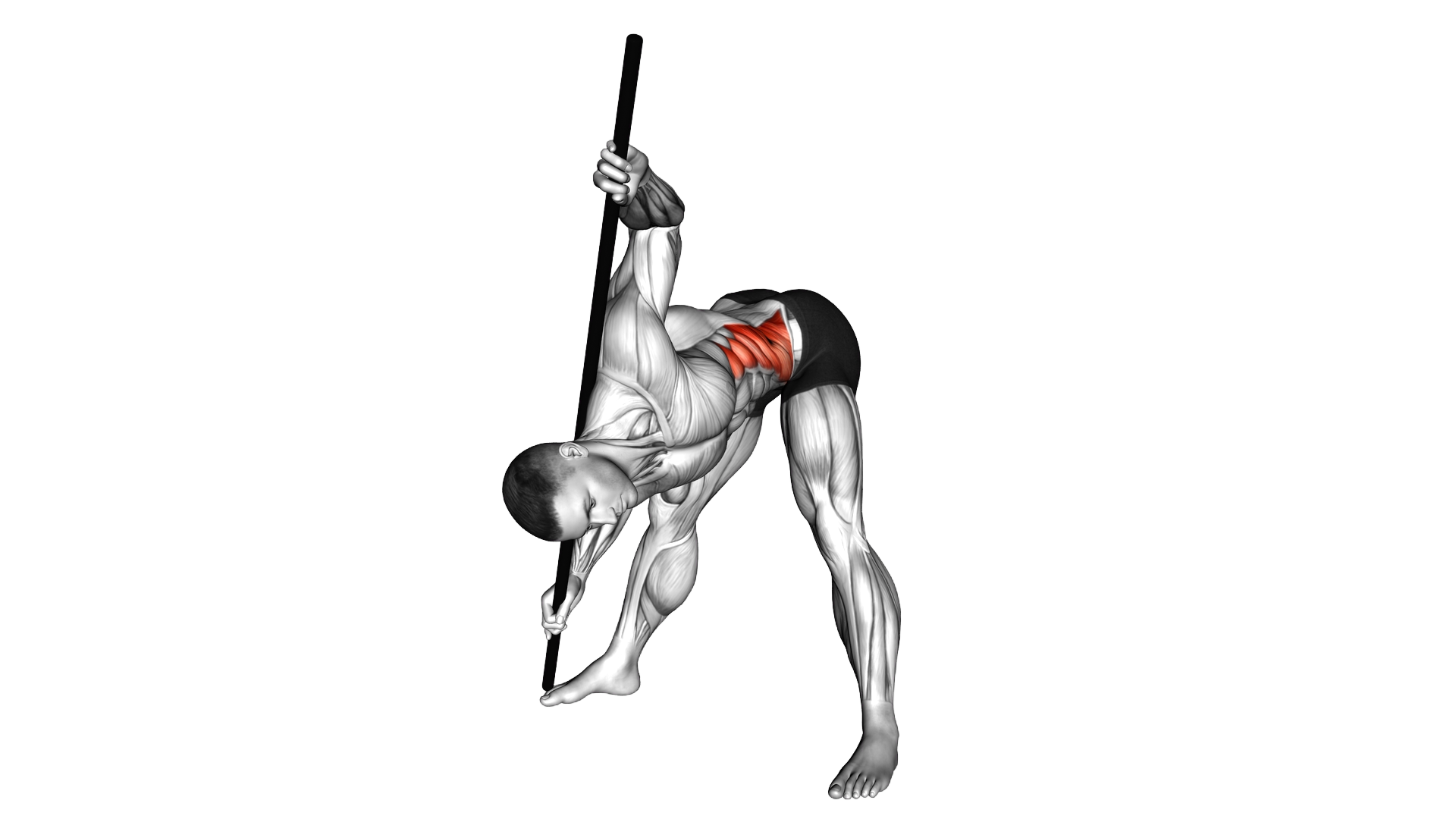Standing Forward Bent Twist exercise demonstration