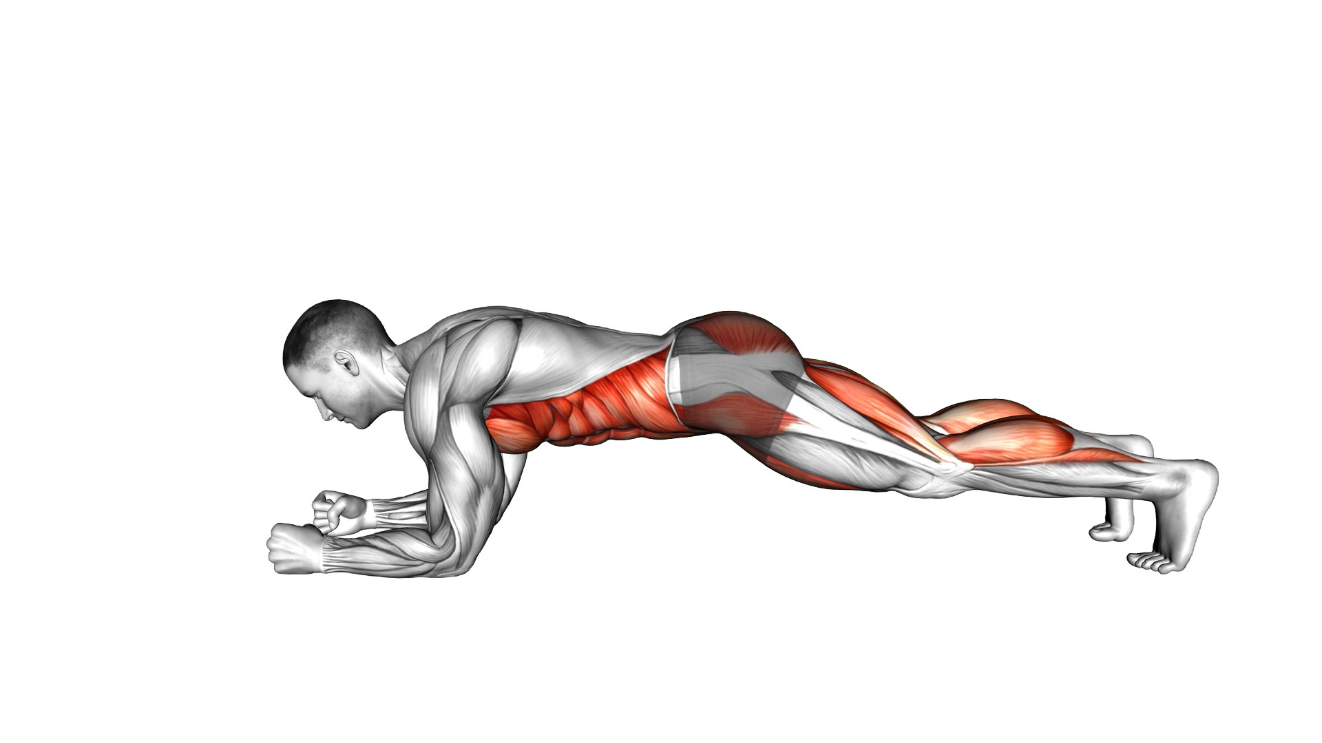 Plank Knee Tap exercise demonstration