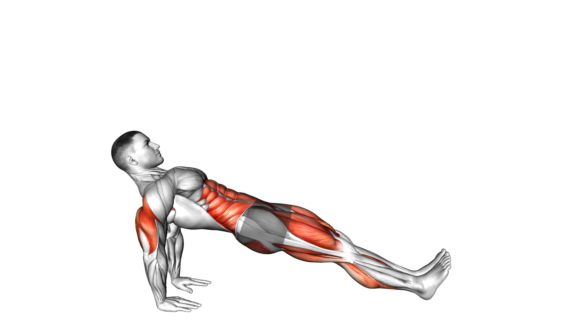 Reverse Plank Leg Lift exercise demonstration