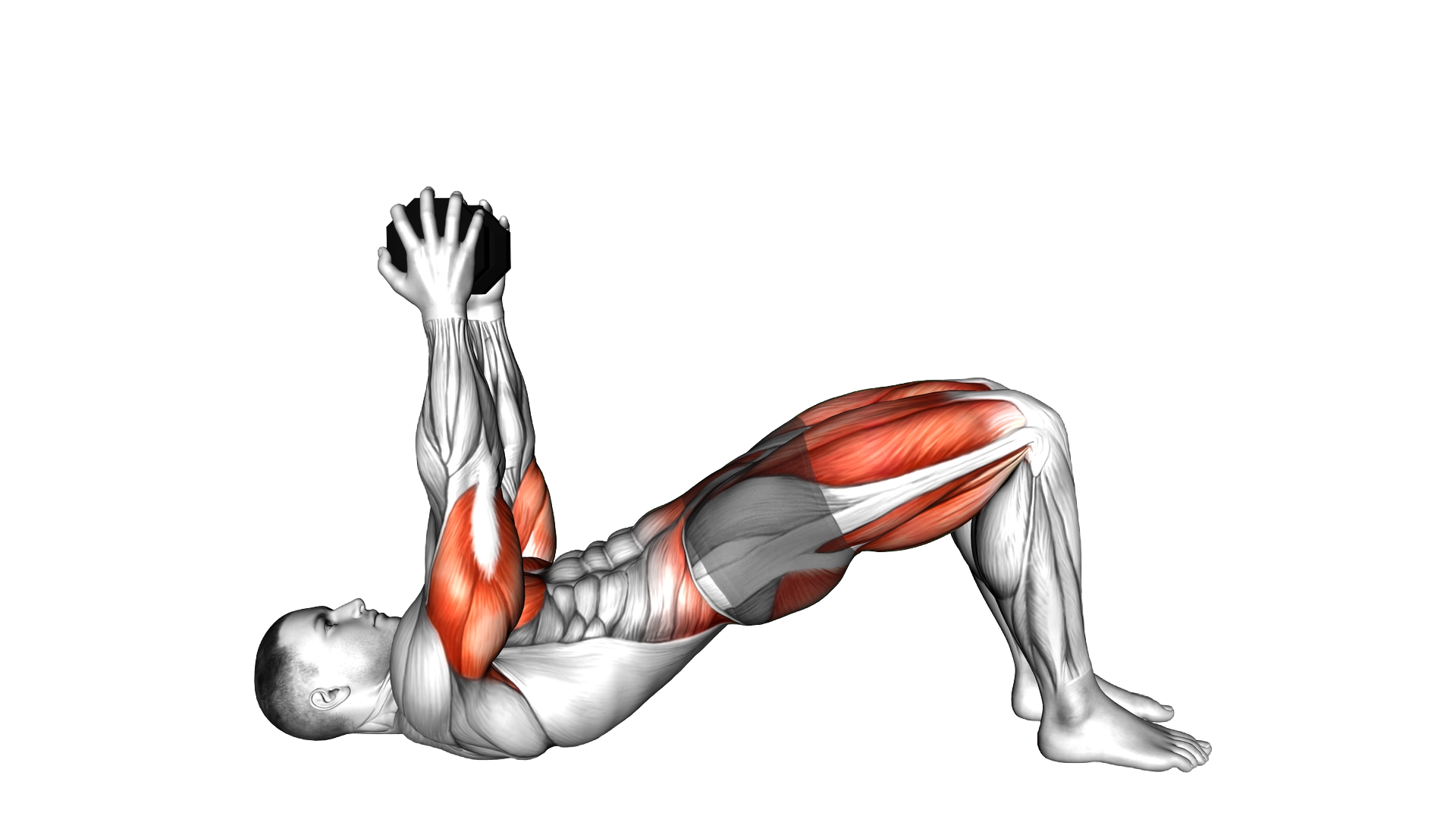 Weighted Dumbbell Bridge March exercise demonstration