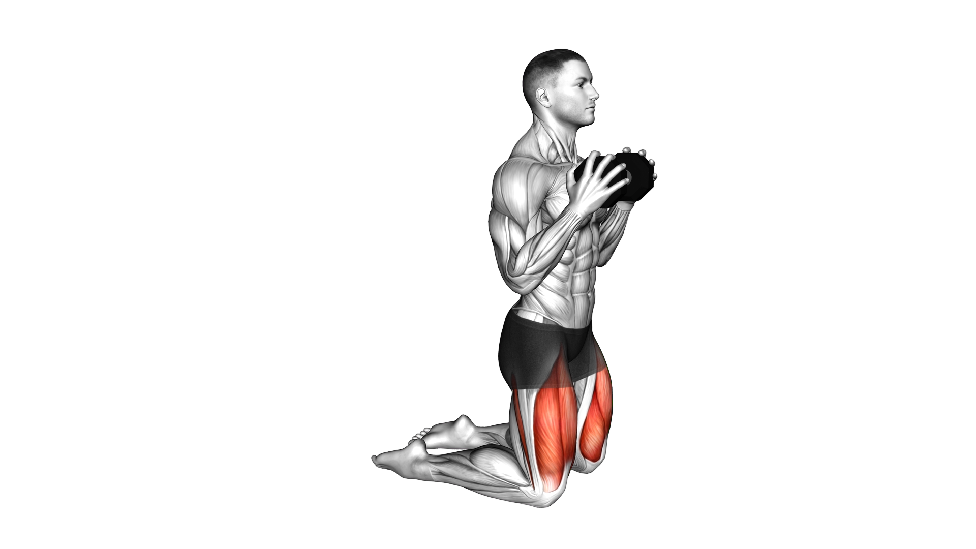 Weighted Dumbbell Kneeling Sissy Squat exercise demonstration