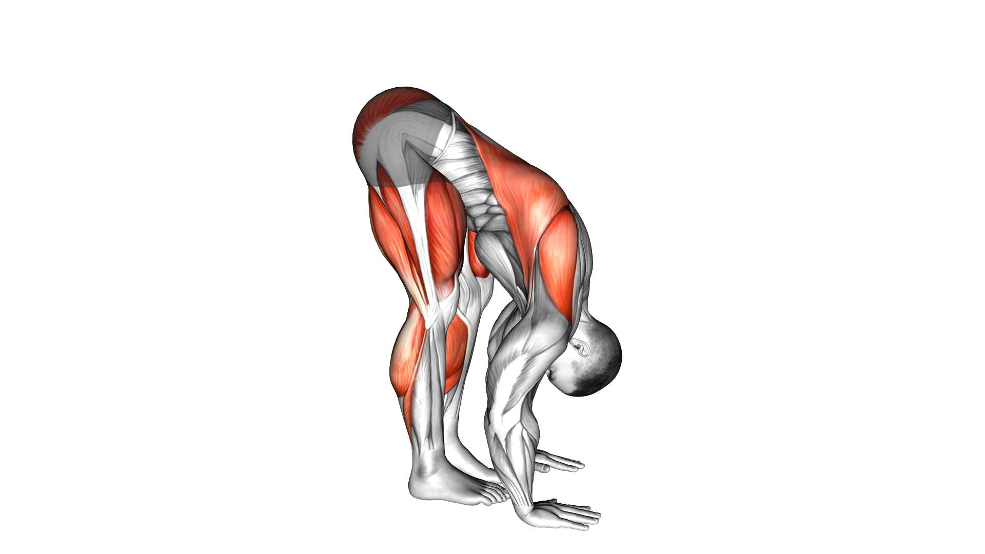 Standing Leaning Forward Walk exercise demonstration