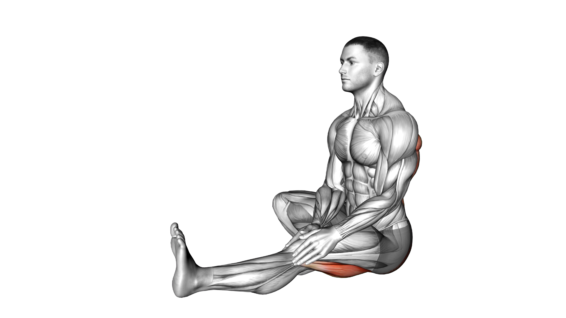 Sitting Head To Knee exercise demonstration