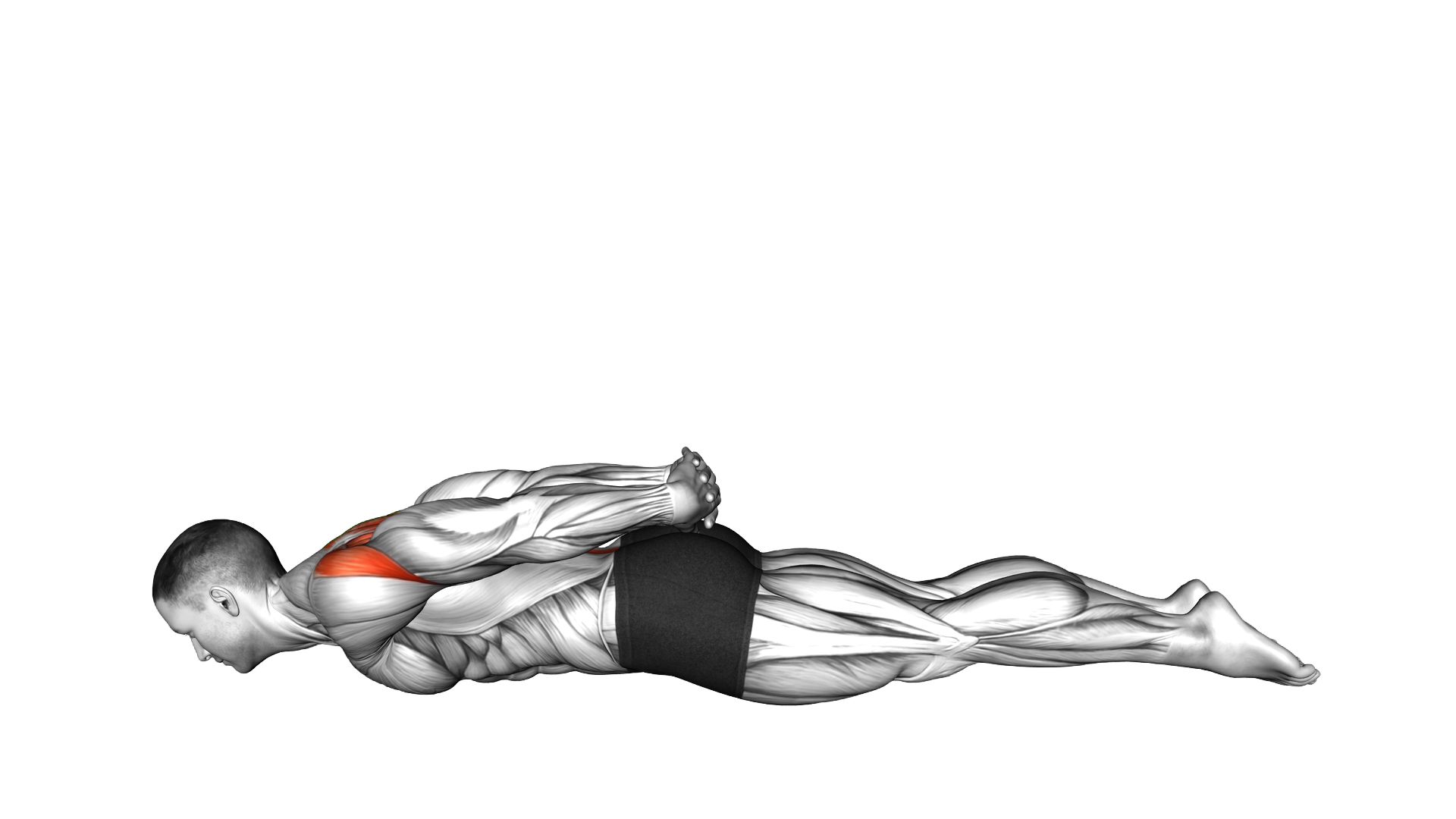Bow Yoga Pose (beginner) exercise demonstration