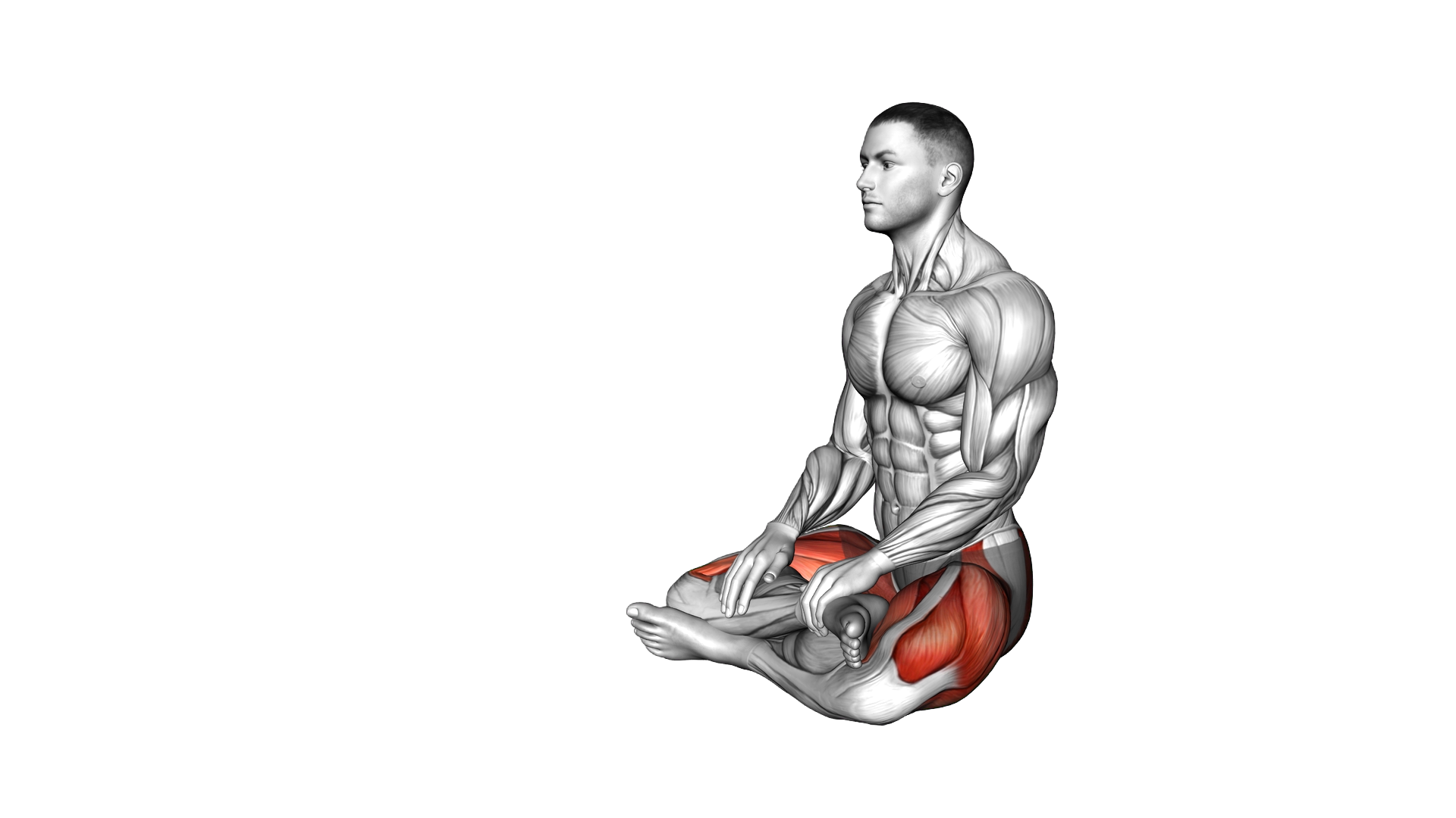 Sitting Crossed Legs Forward Bending exercise demonstration