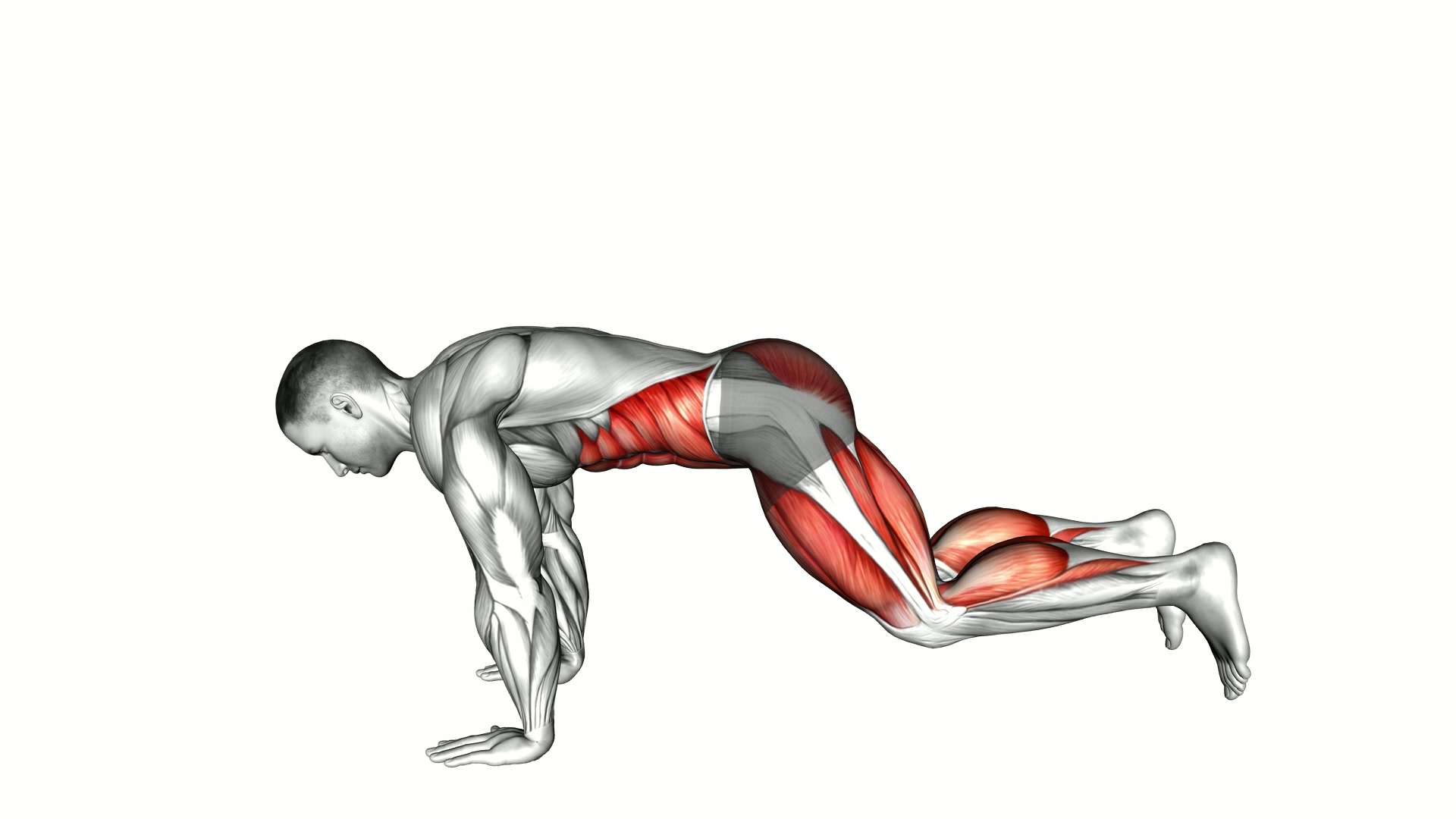 Plank Jump In Squat exercise demonstration
