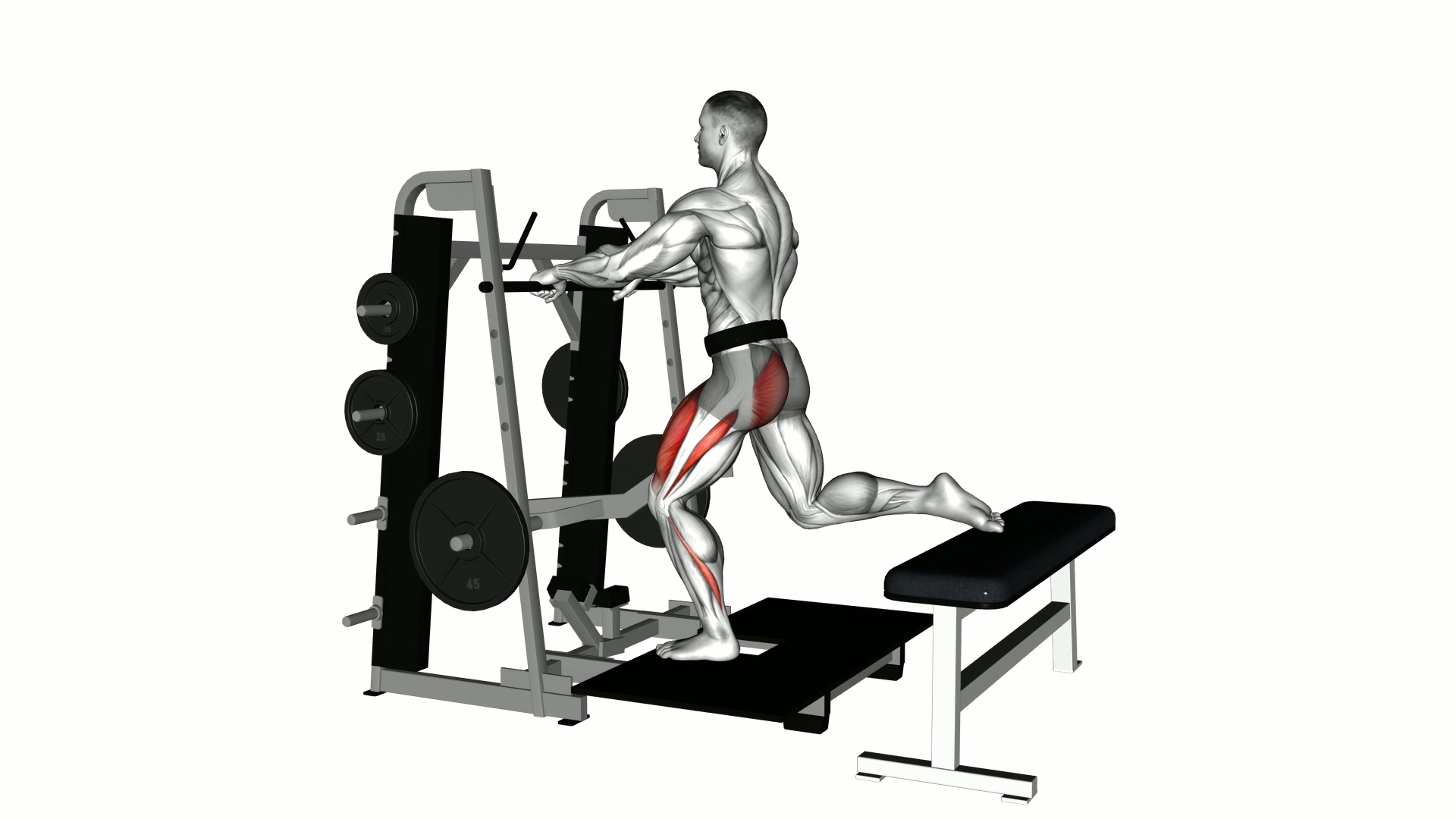 Lever Belt Bulgarian Split Squat exercise demonstration