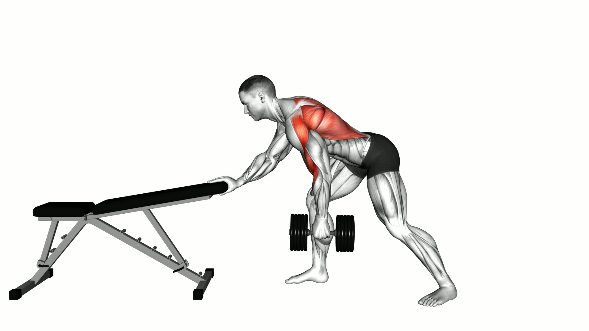 Dumbbell Kroc Row exercise demonstration