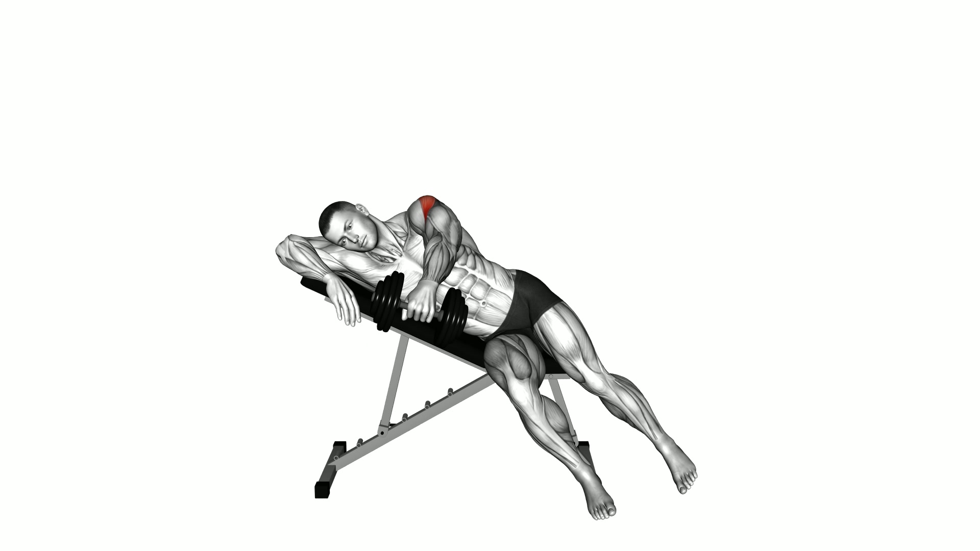 Dumbbell Powell Raise exercise demonstration