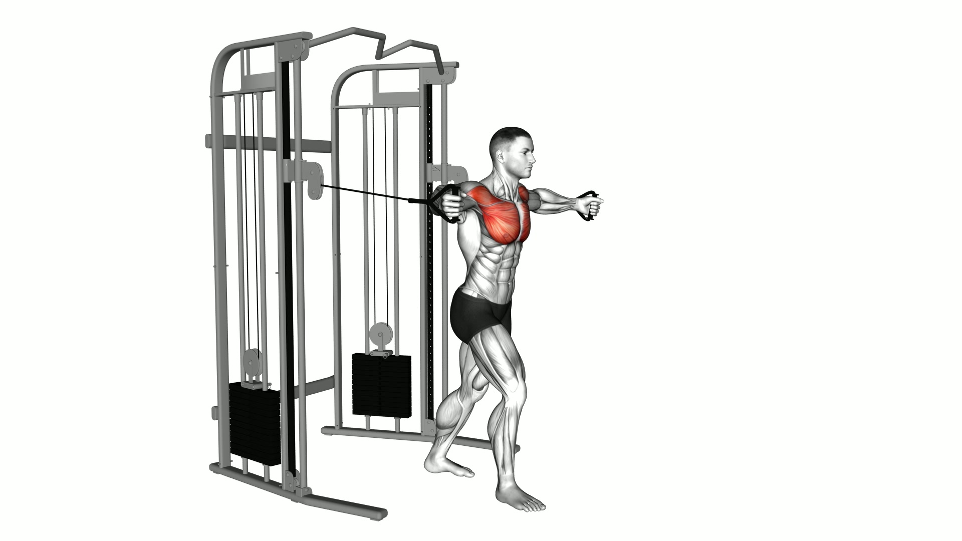 Cable Standing Fly Hugs exercise demonstration