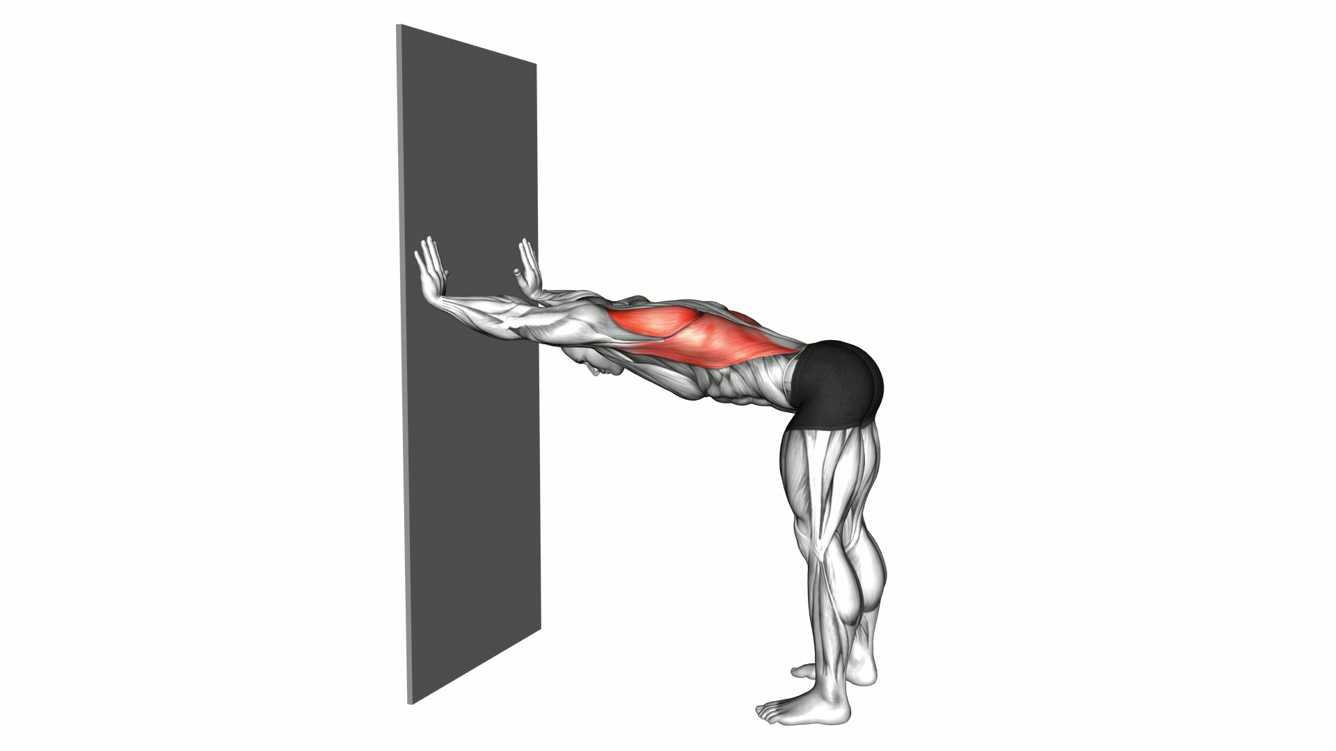Lat Stretch against Wall exercise demonstration