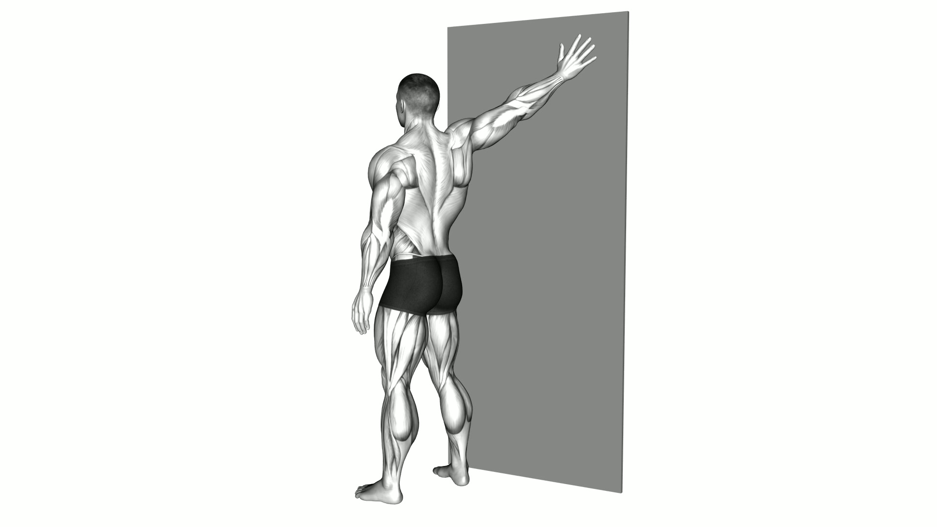 Single Arm 45 degrees Chest Stretch against Wall exercise demonstration