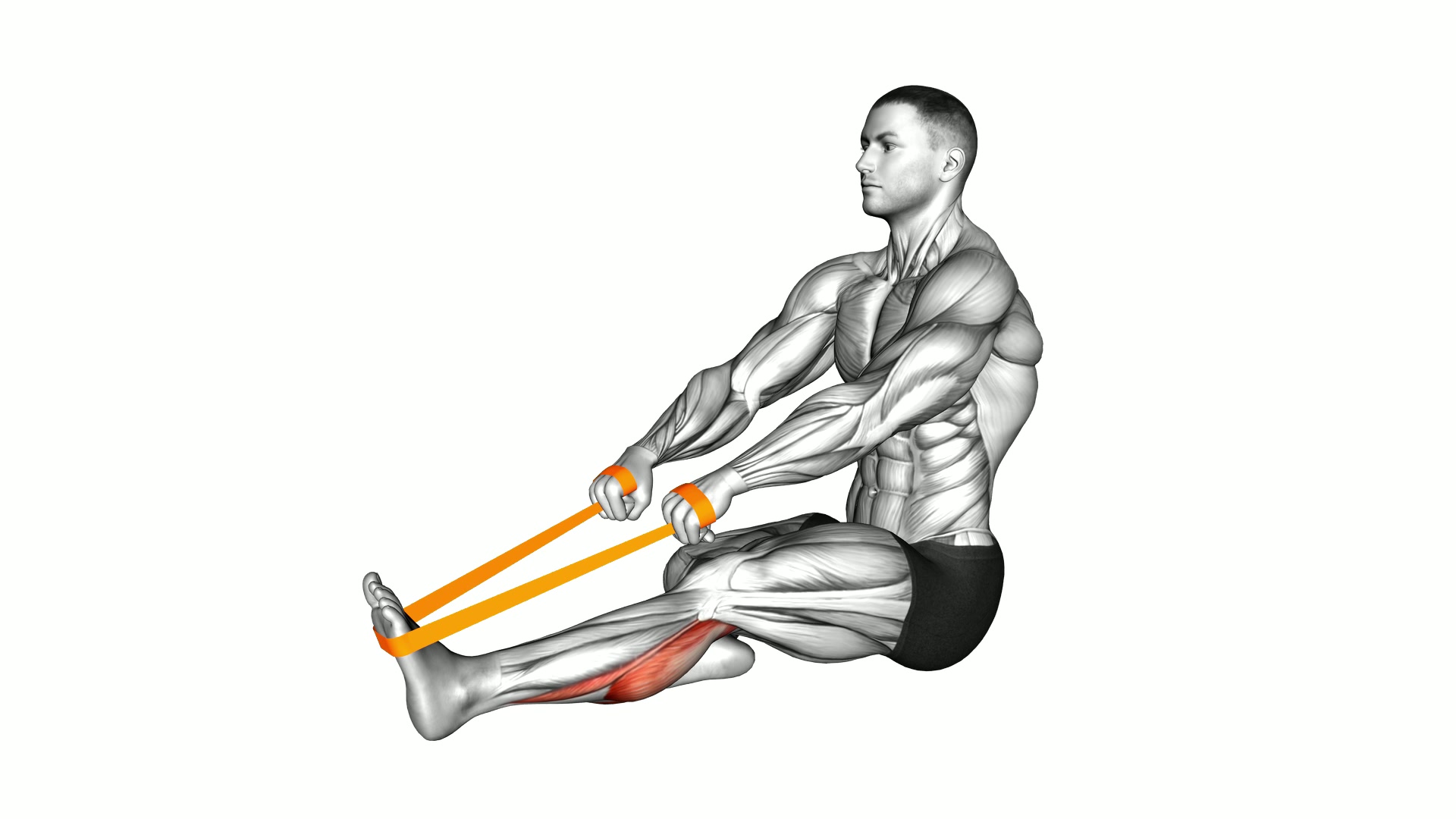 Resistance Band Seated Calf Stretch exercise demonstration