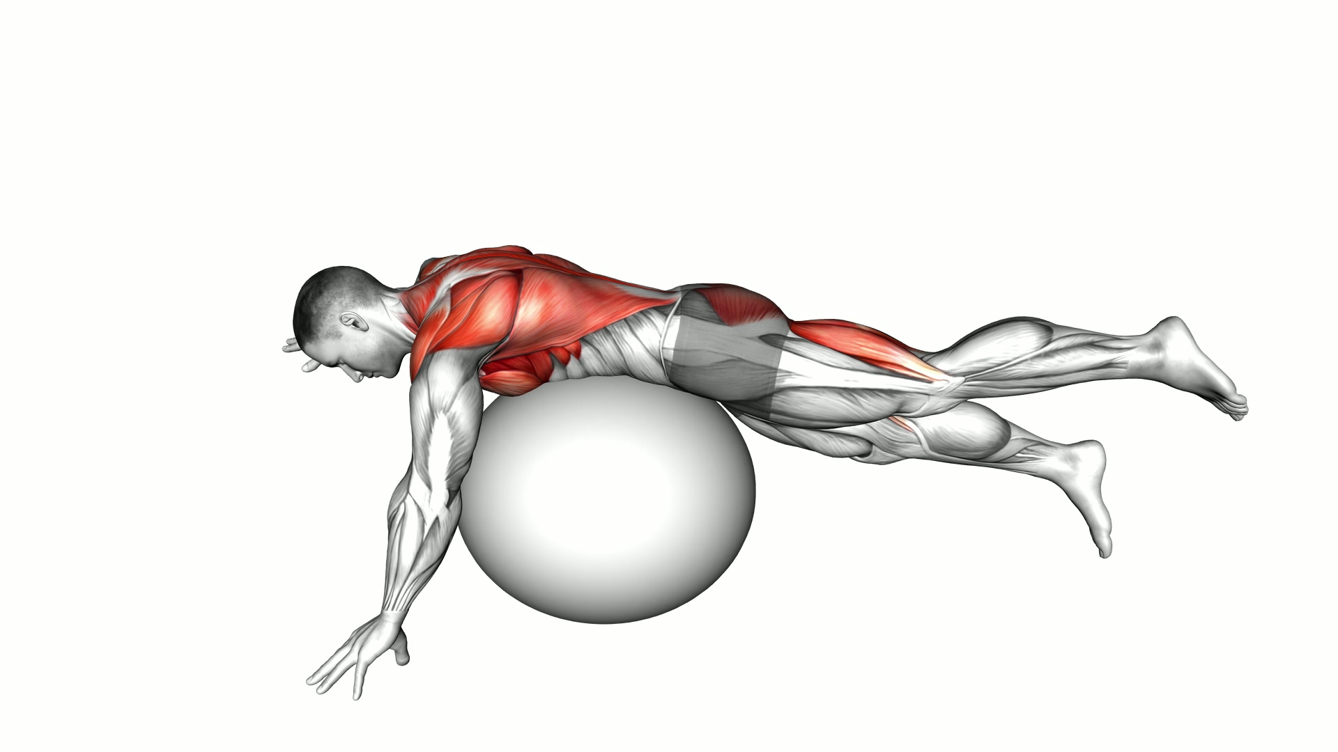 Swimmer Kick over Exercise Ball exercise demonstration