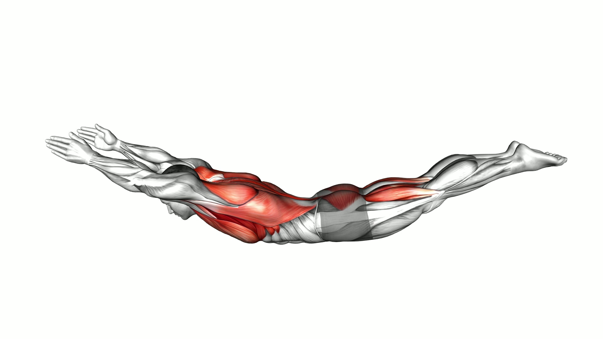 Superman Swing exercise demonstration