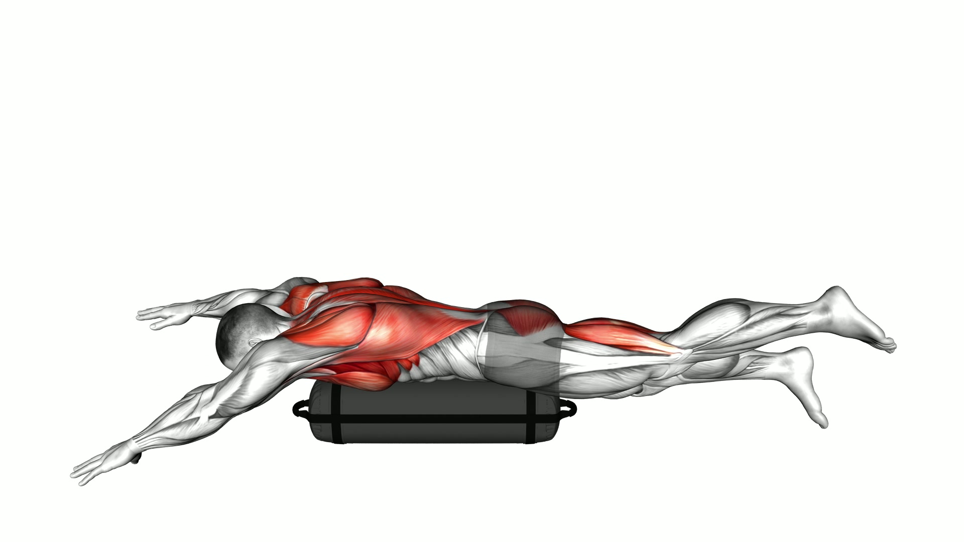 Swimmer Kick over Sandbag exercise demonstration
