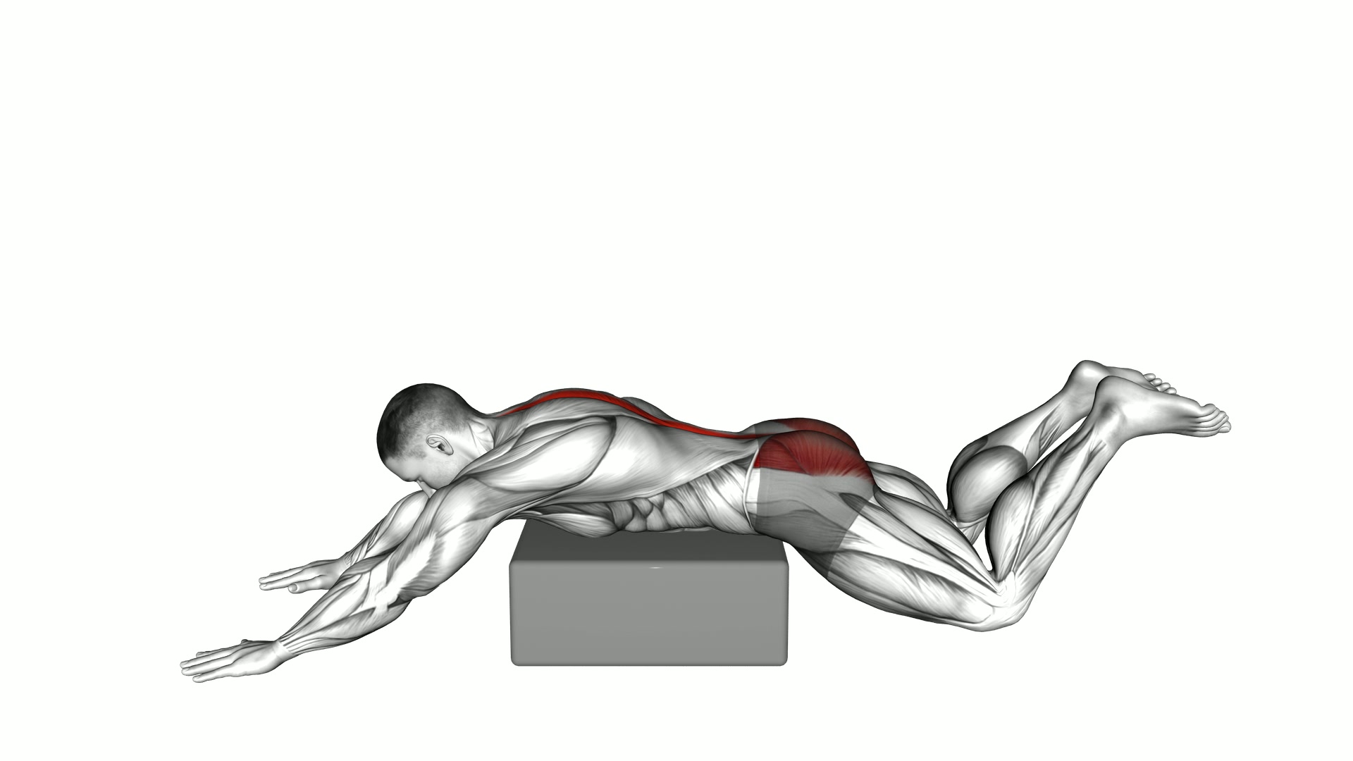 Reverse Frog Hyperextension on Box exercise demonstration