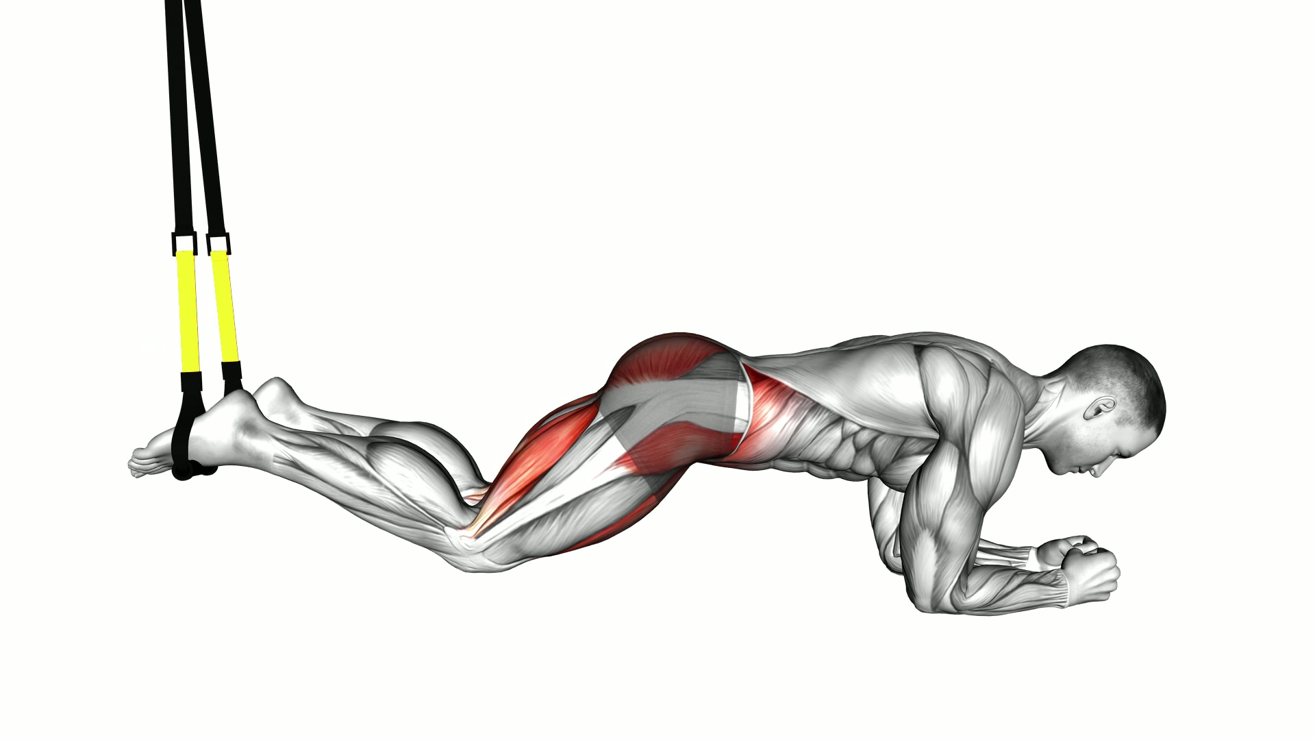 Suspender Hip Lift Knee Tuck exercise demonstration