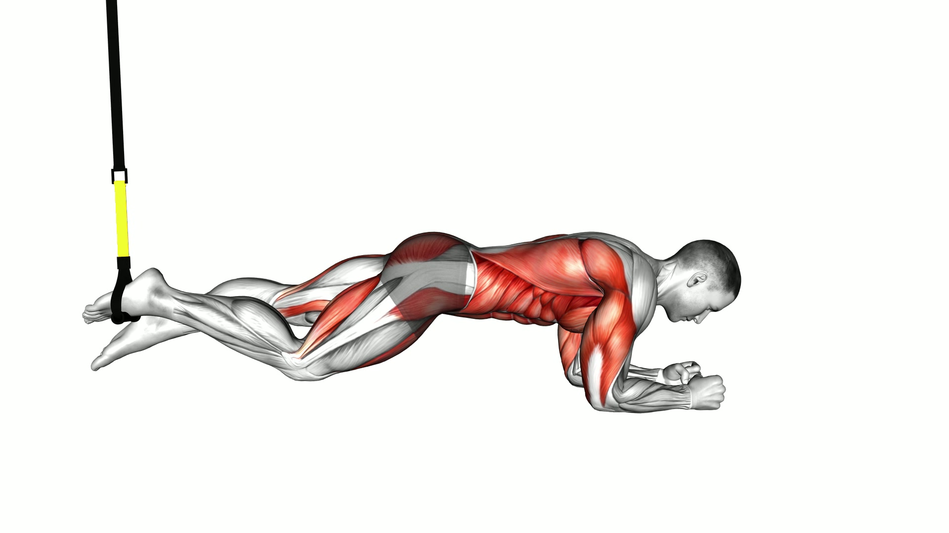 Suspender Single Leg Plank (straight arm) exercise demonstration