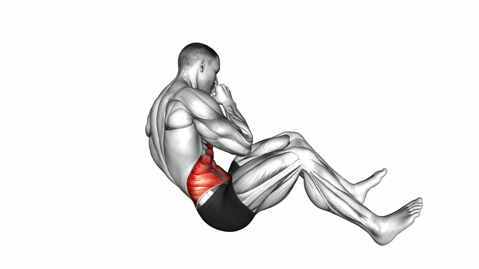 Cross Sit up exercise demonstration