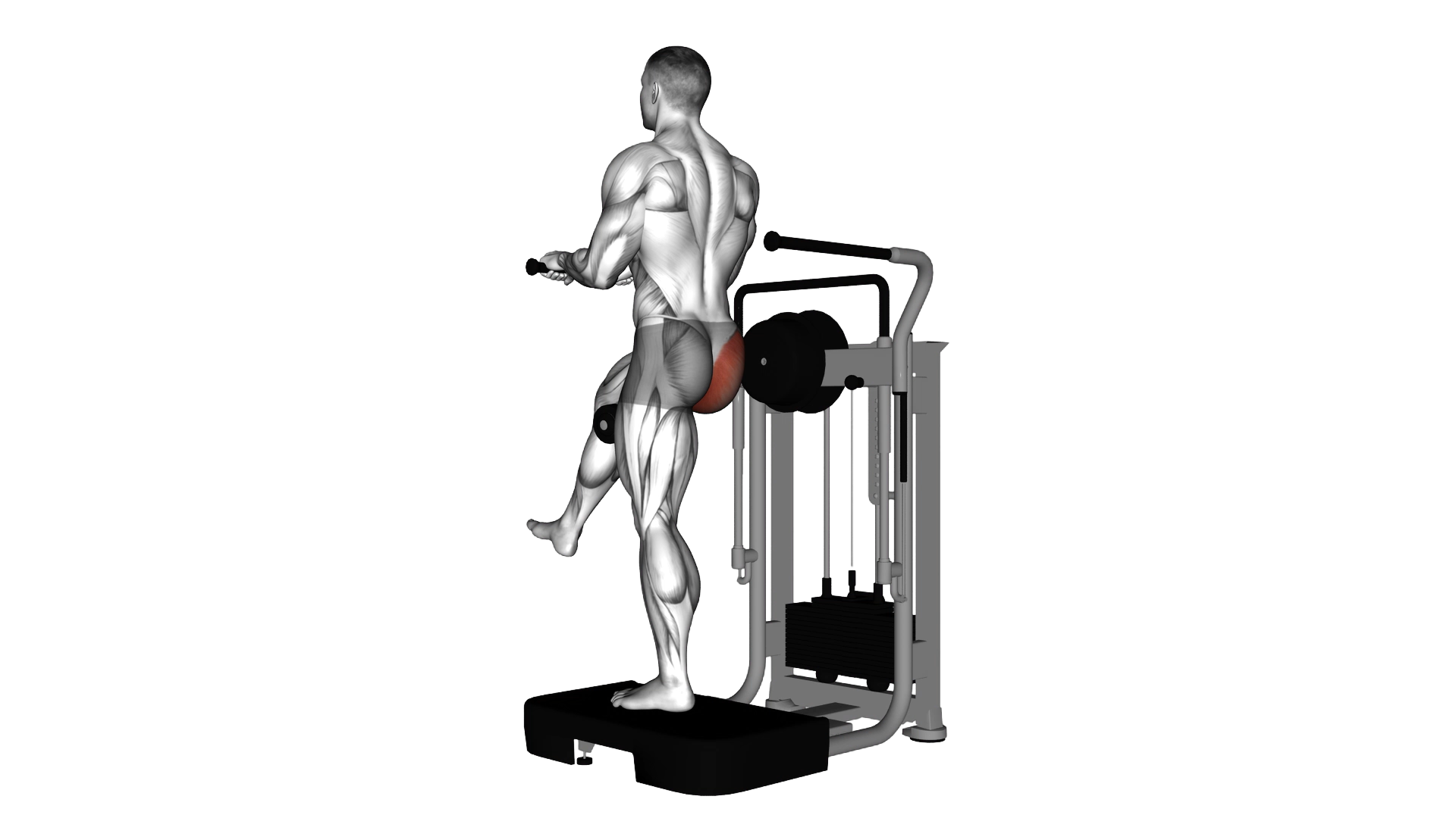 Lever Standing Rear Kick exercise demonstration