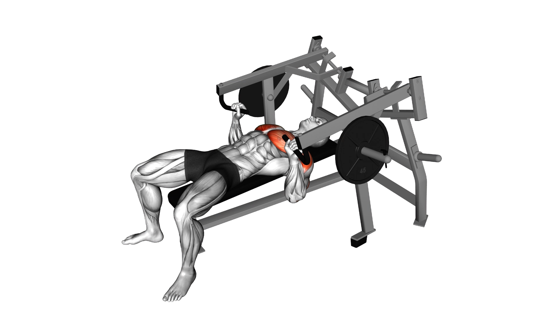 Lever Lying Chest Press (plate loaded) exercise demonstration