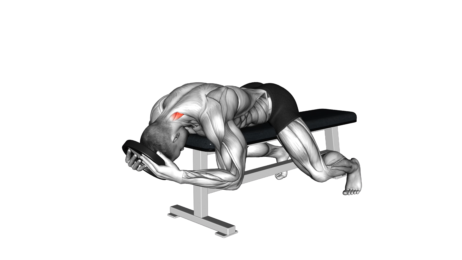 Weighted Lying Neck Extension exercise demonstration