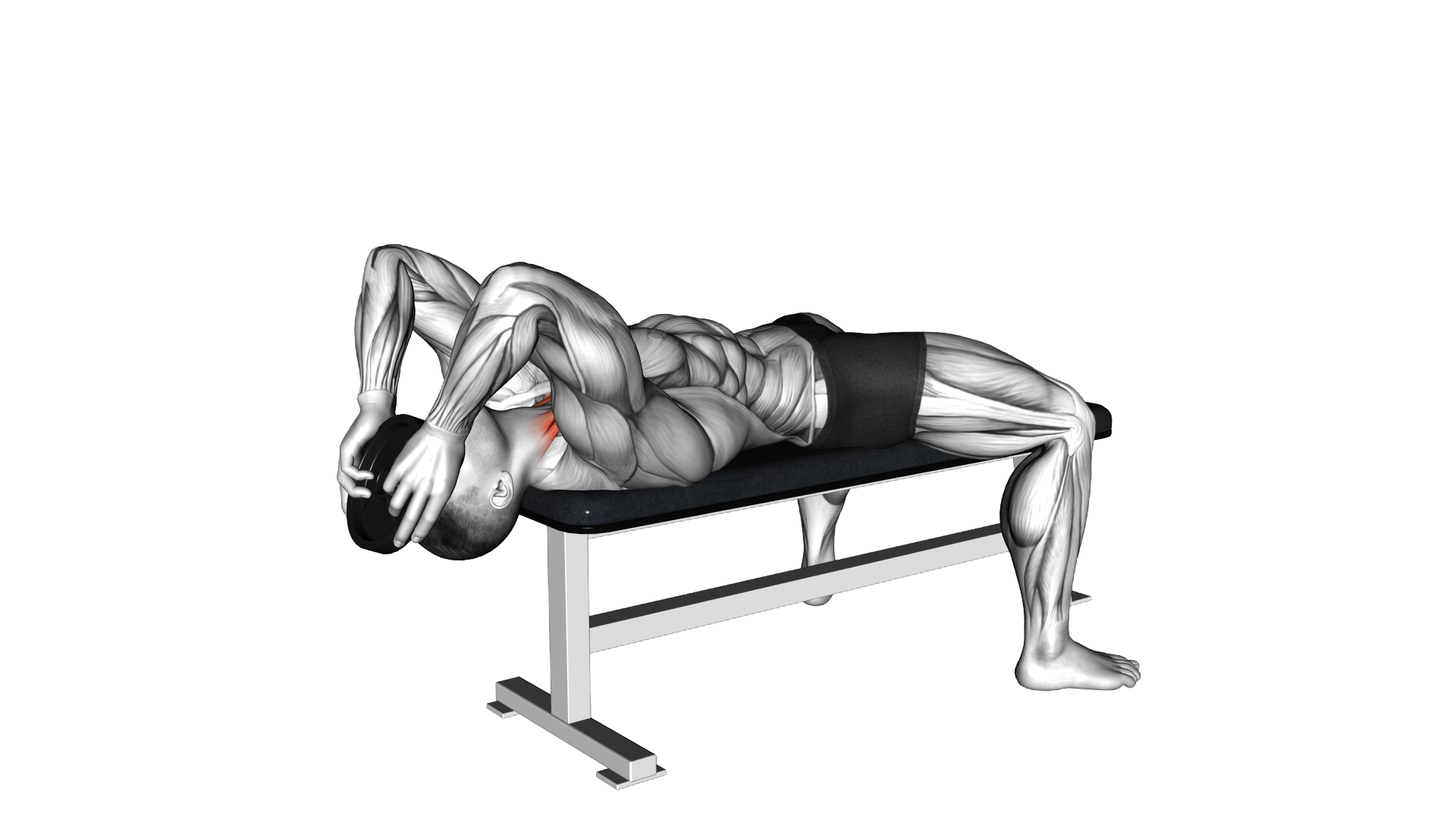 Weighted Lying Neck Flexion exercise demonstration