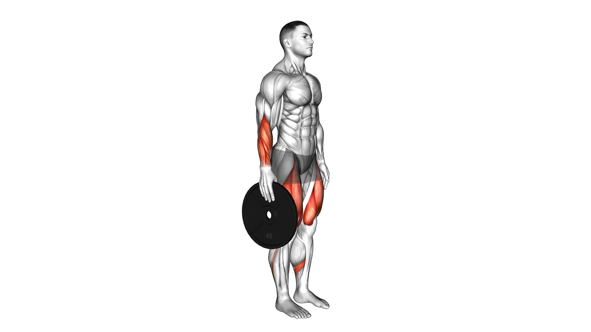 Plate Pinch exercise demonstration