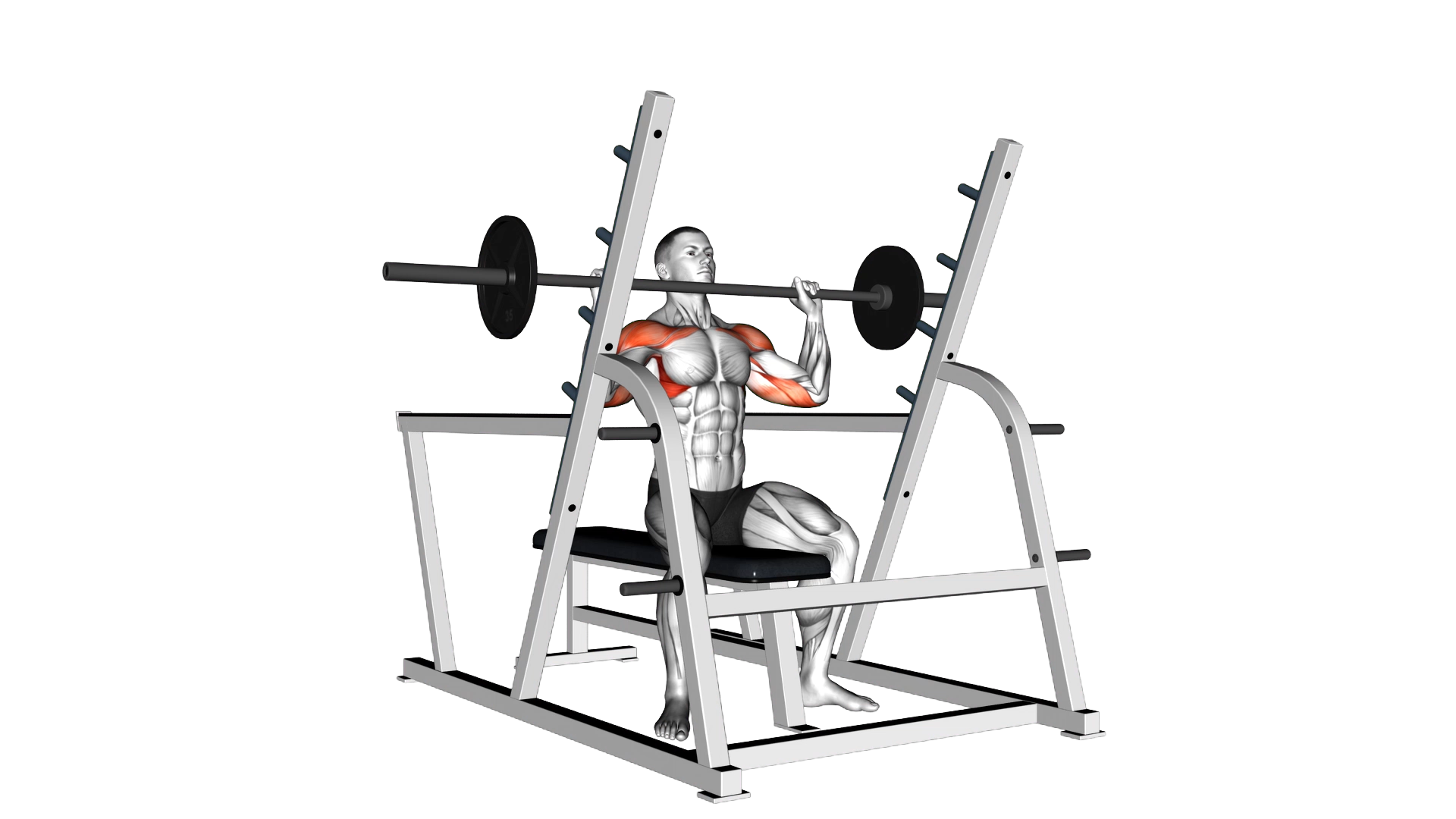 Barbell Seated Military Press (inside squat cage) exercise demonstration