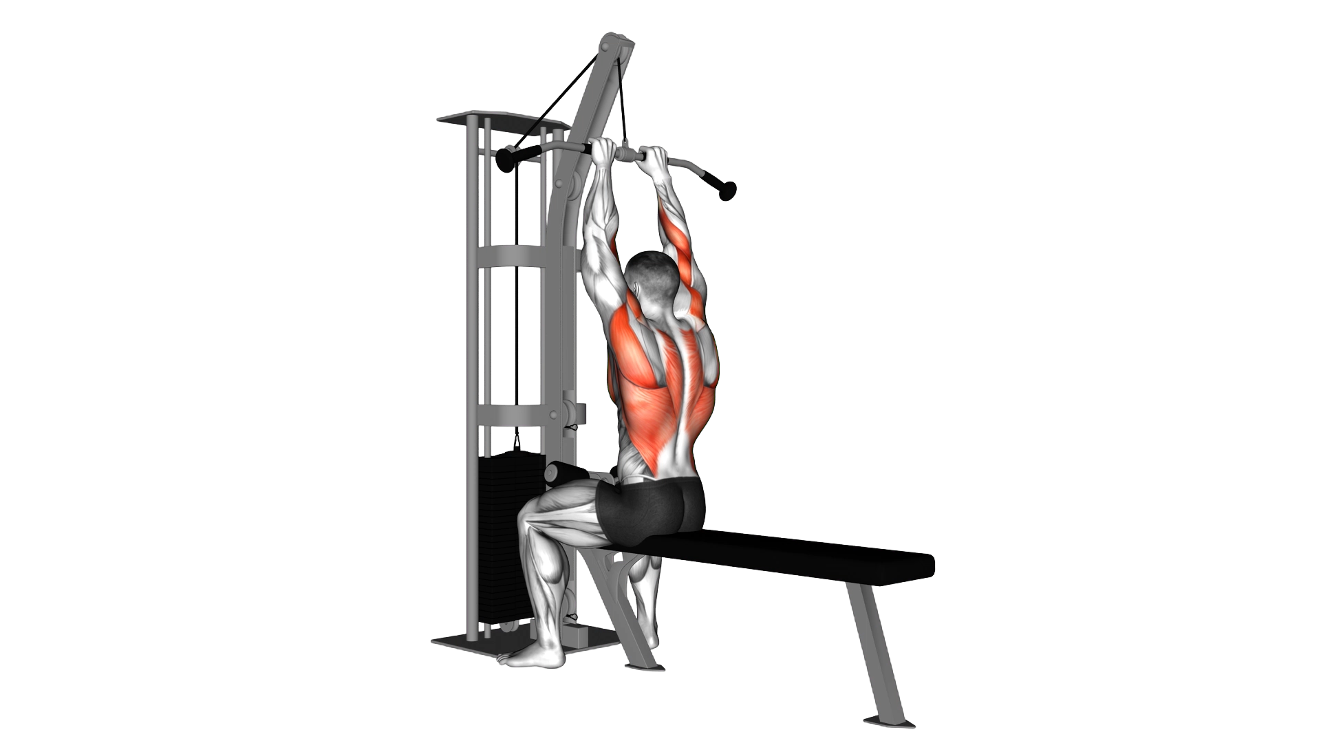 Cable Close Grip Front Lat Pulldown exercise demonstration