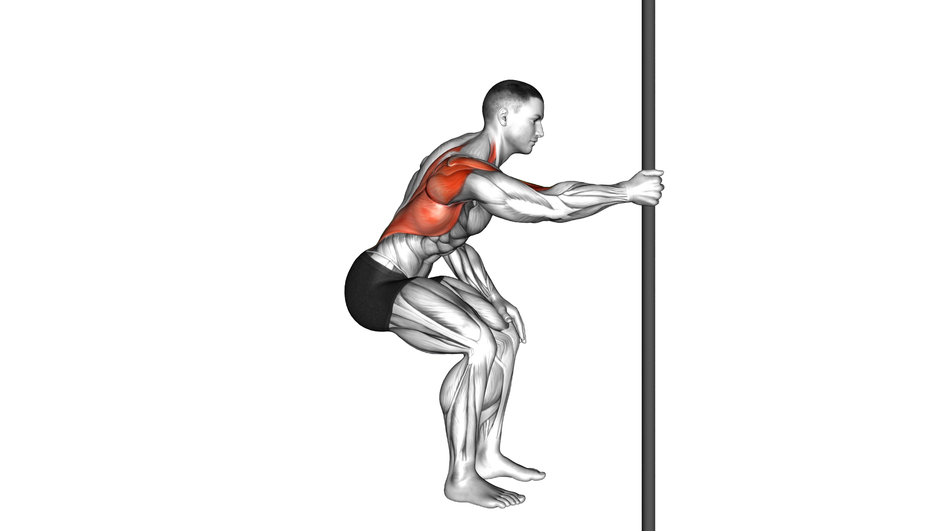 Fixed Bar Back Stretch exercise demonstration