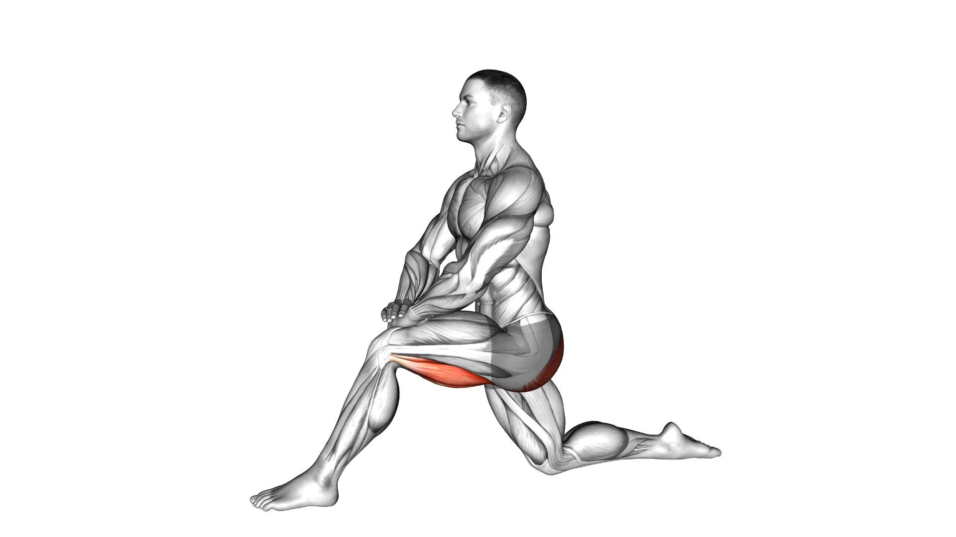 Kneeling Hip Flexor Stretch exercise demonstration