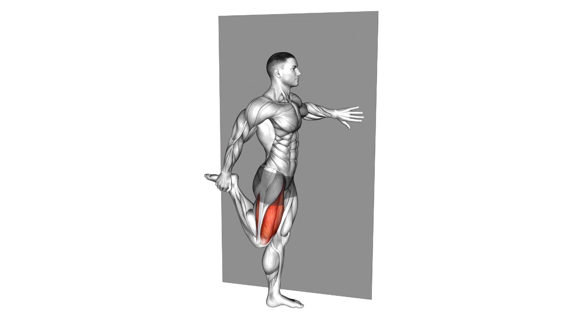 Standing Quadriceps Stretch exercise demonstration