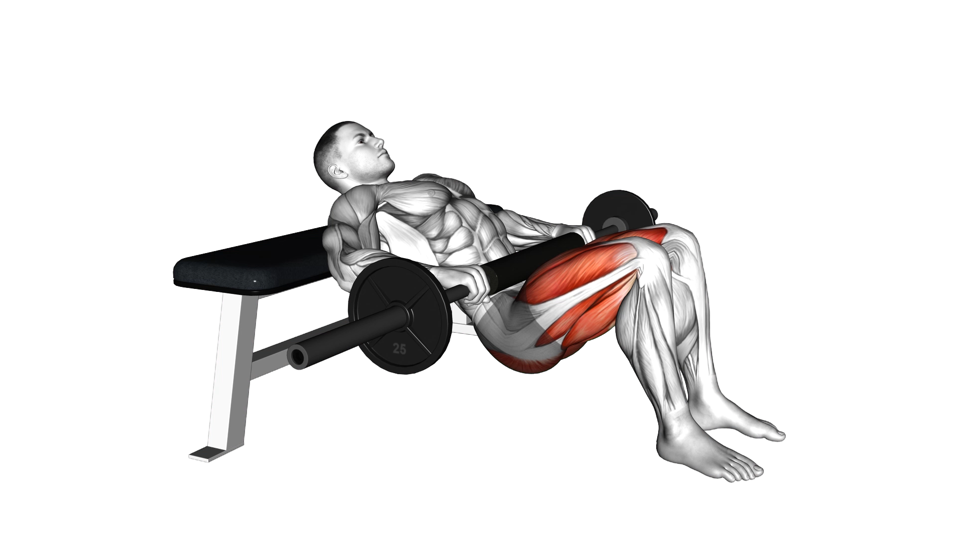 Barbell one leg hip thrust exercise demonstration