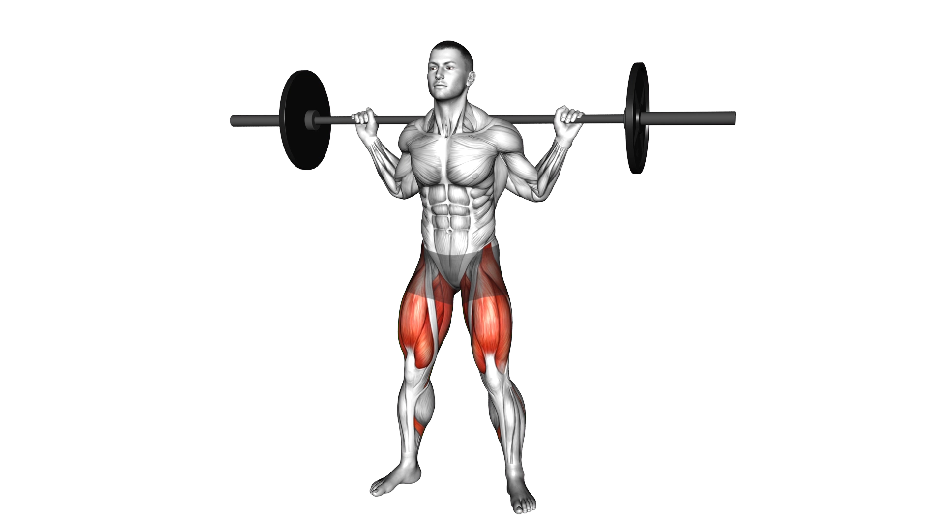 Barbell sumo squat exercise demonstration