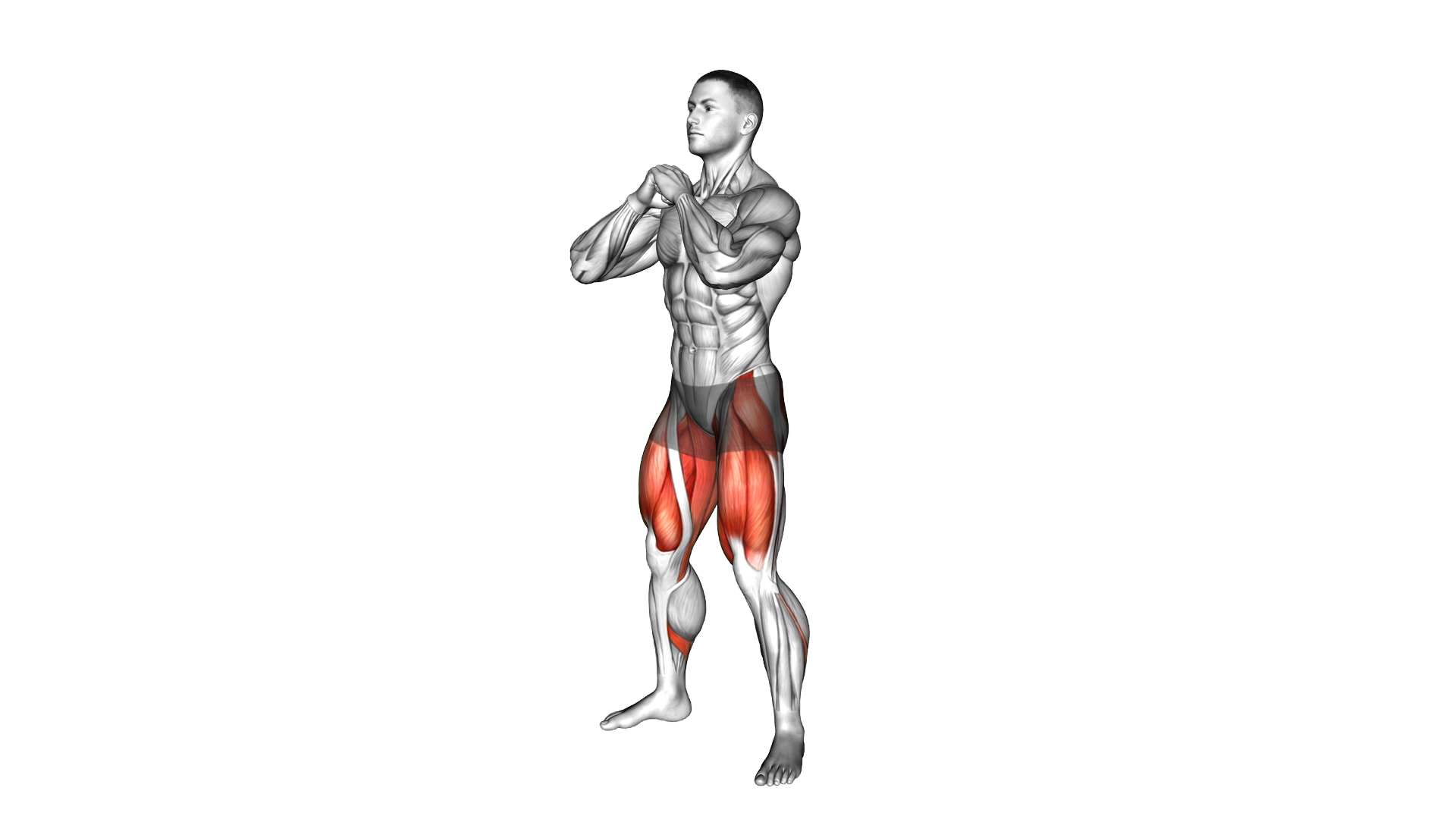 Sumo Squat exercise demonstration