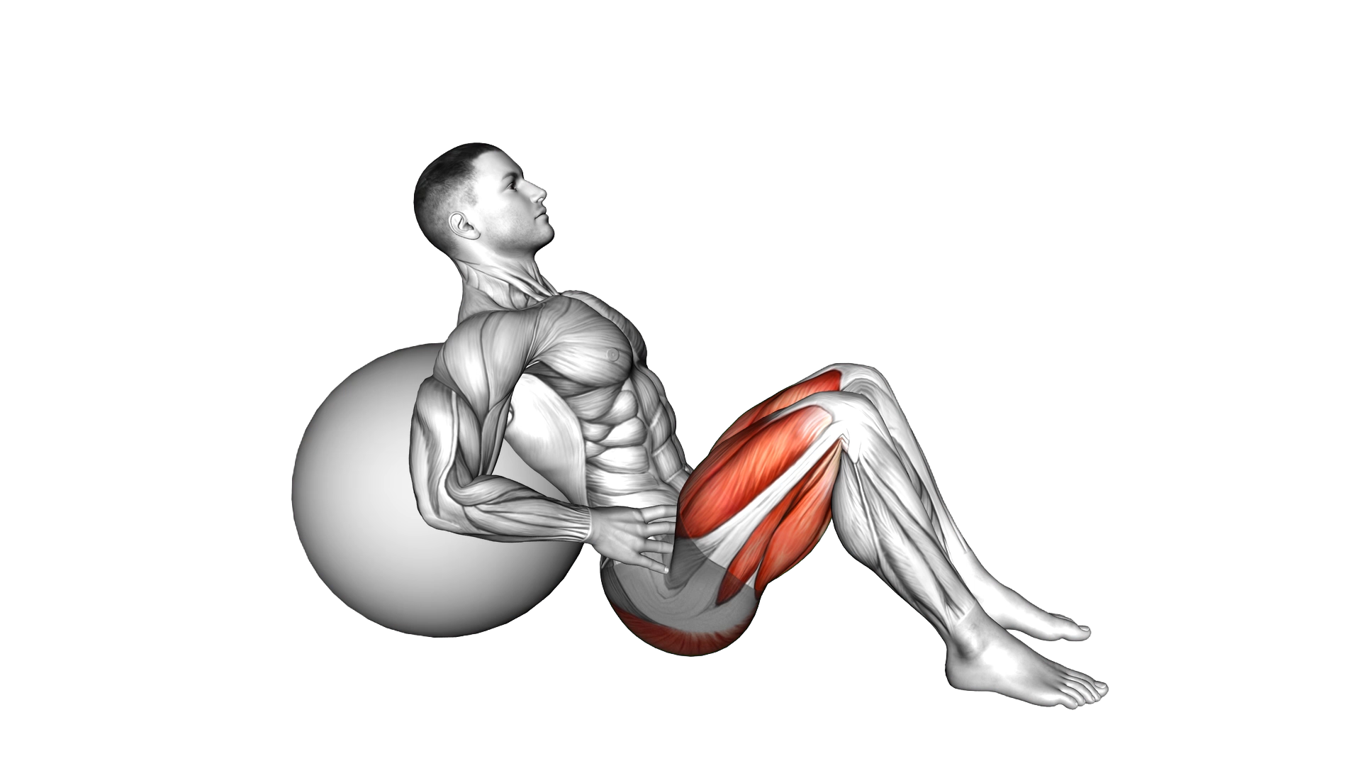 Lying Hip Lift (on stability ball) exercise demonstration