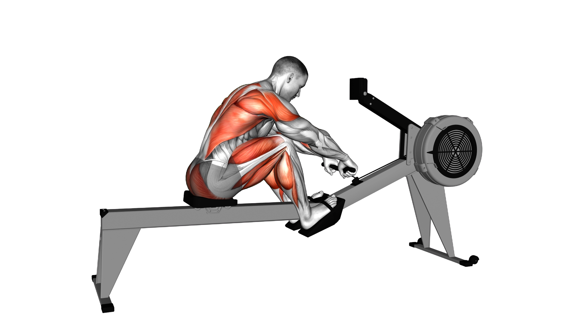 Rowing (with rowing machine) exercise demonstration
