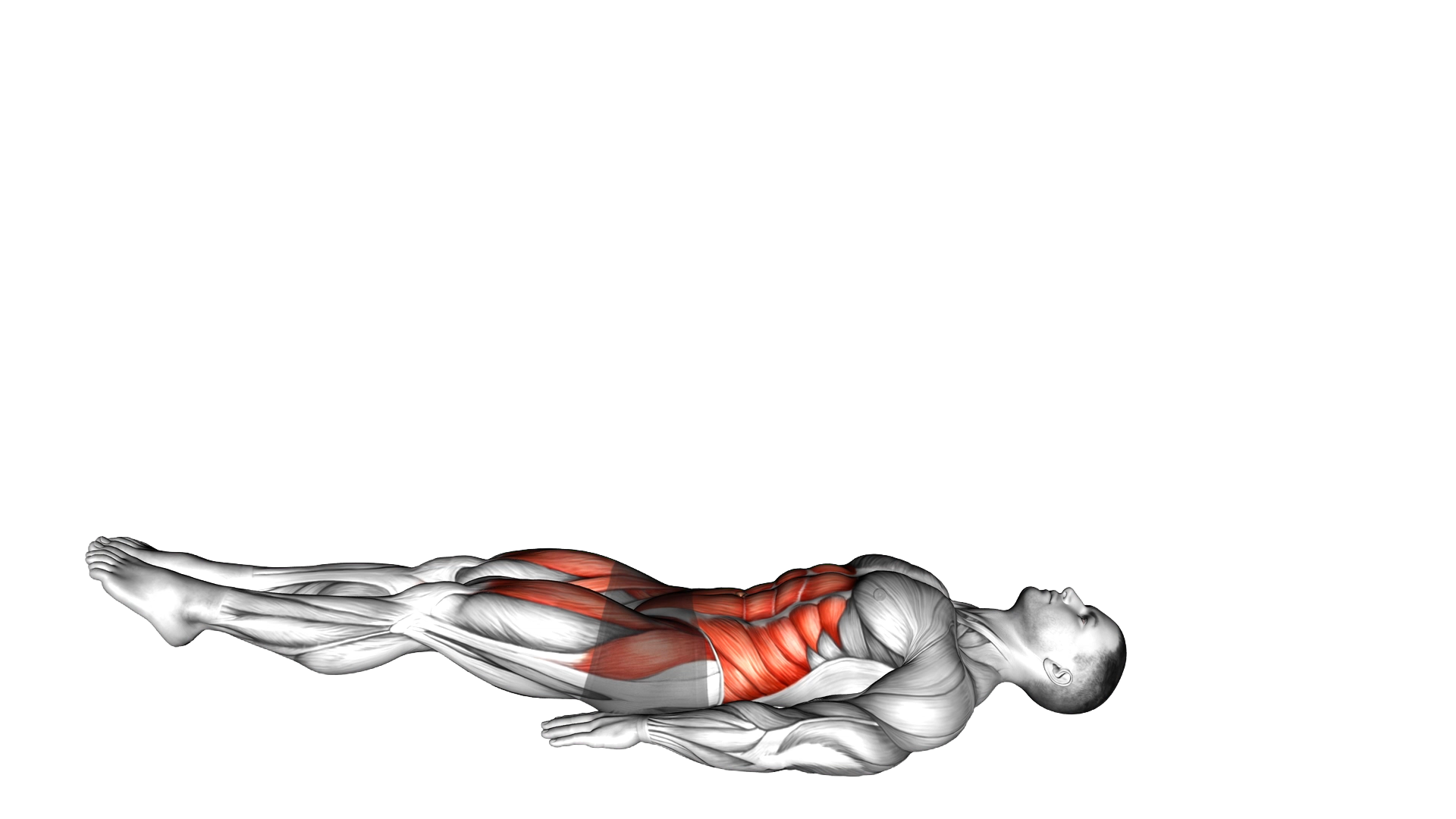 Lying Leg Raise exercise demonstration