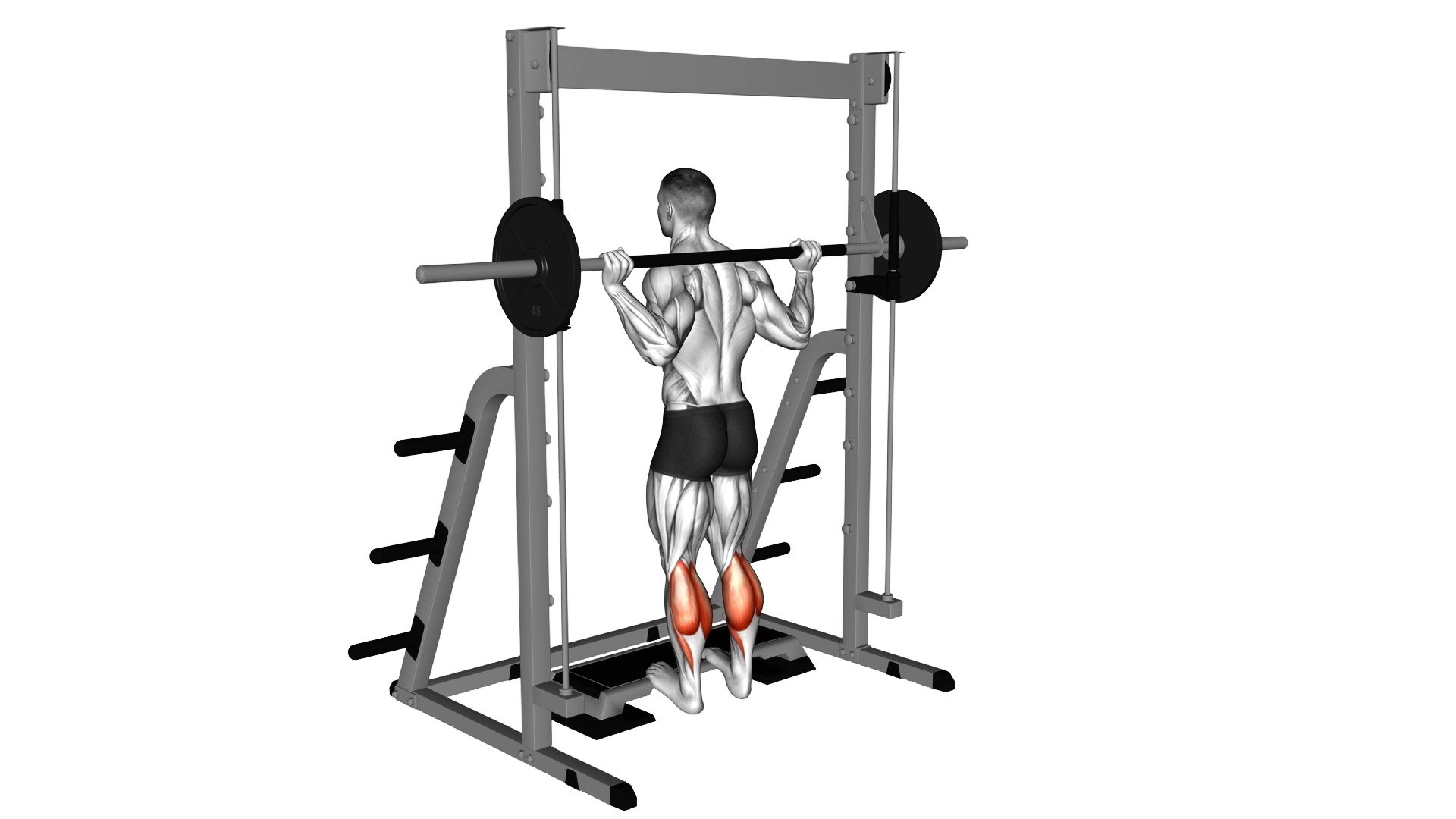 Smith Calf Raise exercise demonstration