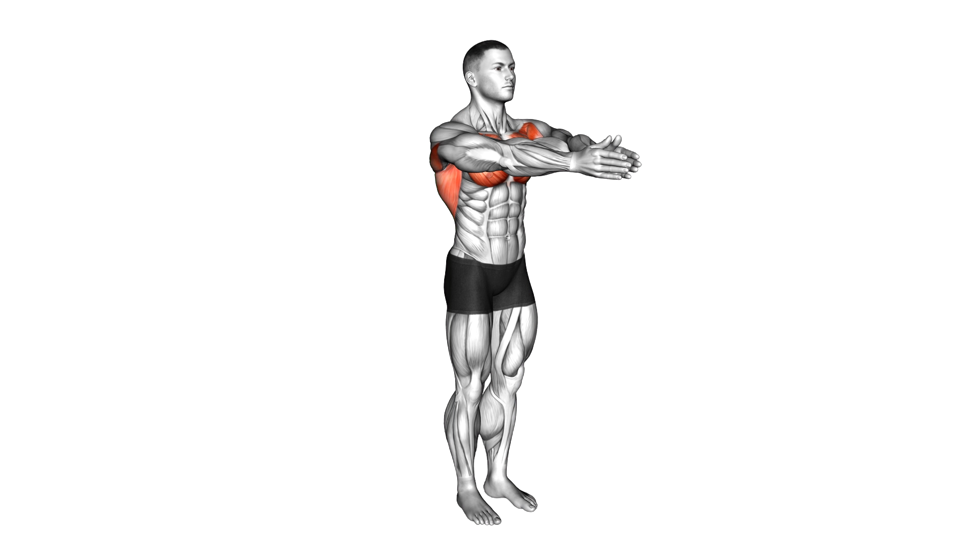 Dynamic Chest Stretch exercise demonstration