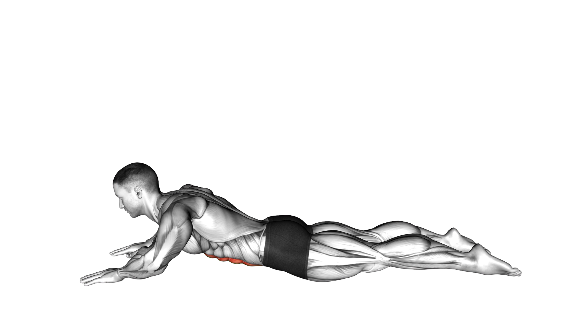 Lying (prone) Abdominal Stretch exercise demonstration