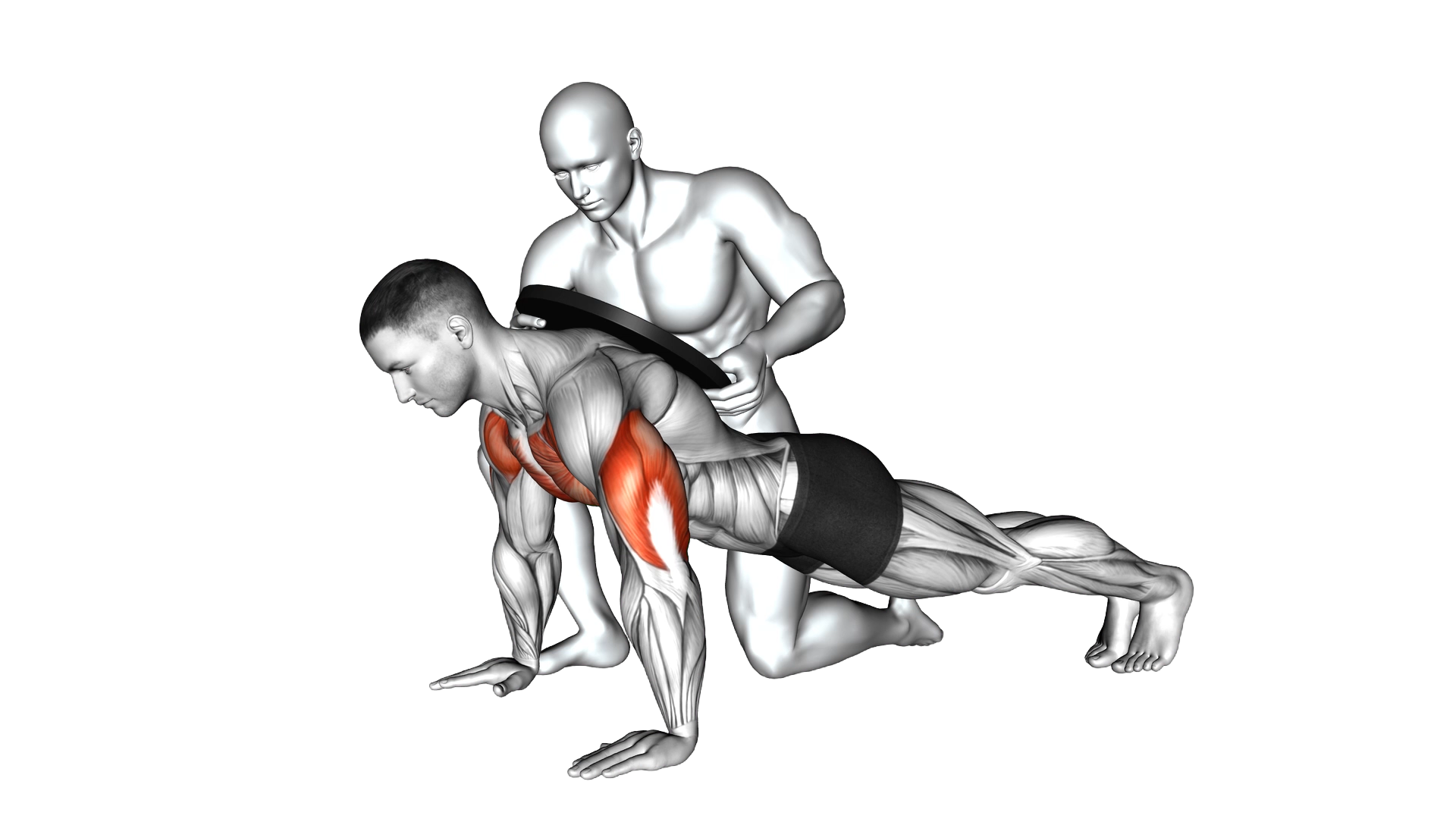 Assisted Weighted Push up exercise demonstration