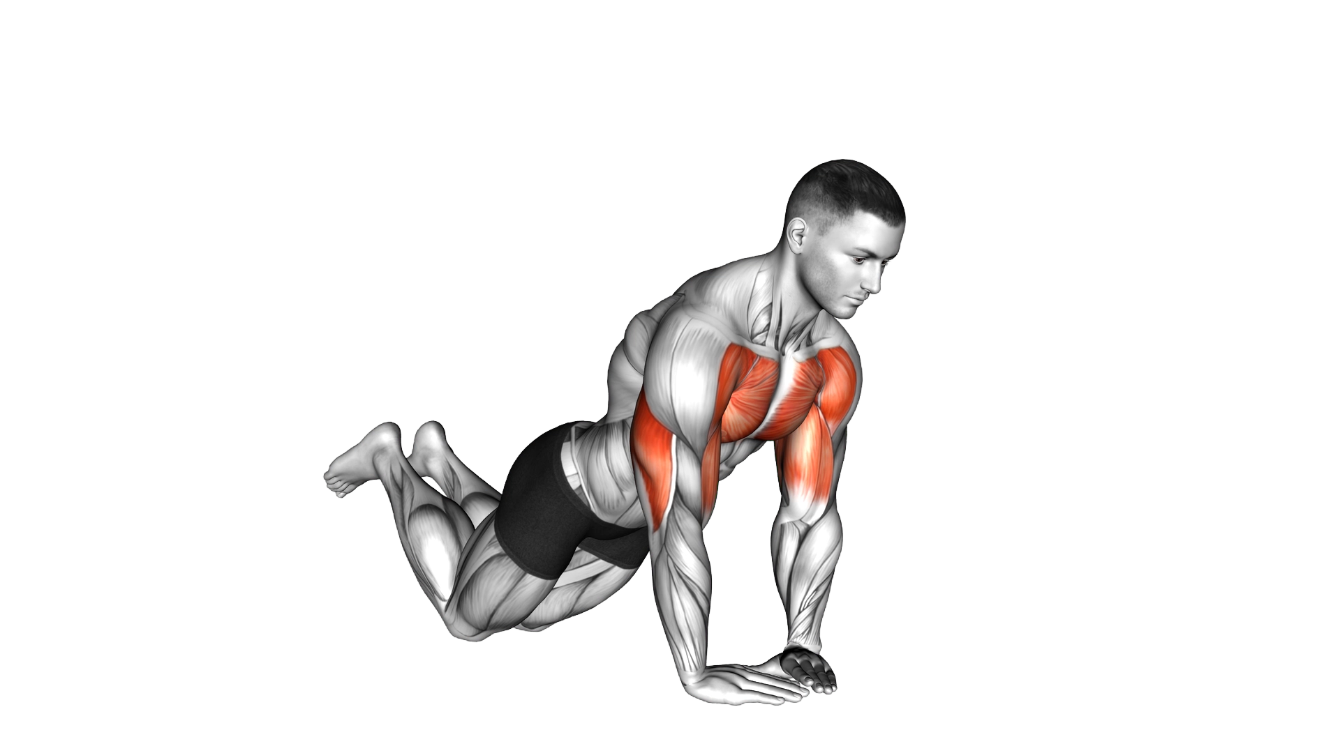 Diamond Push up (on knees) exercise demonstration