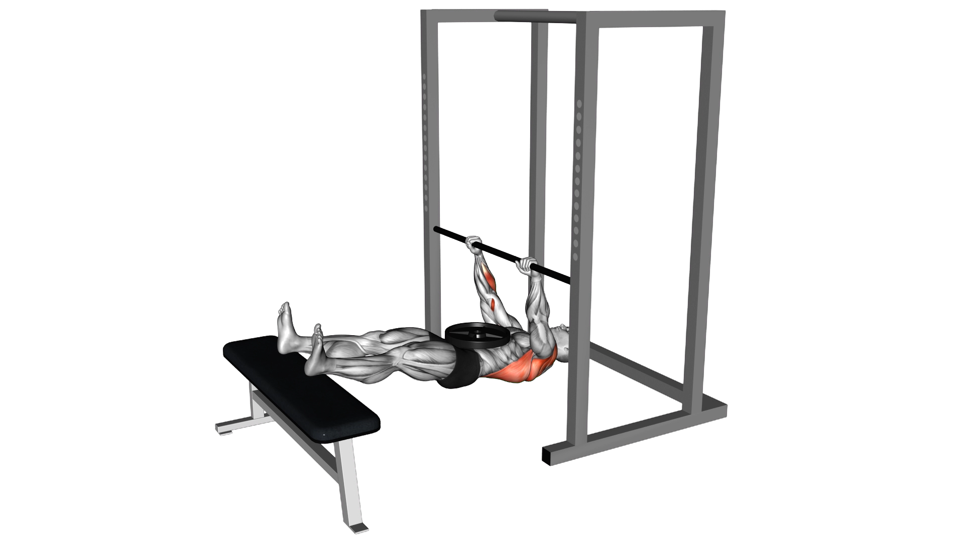 Weighted Inverted Row exercise demonstration