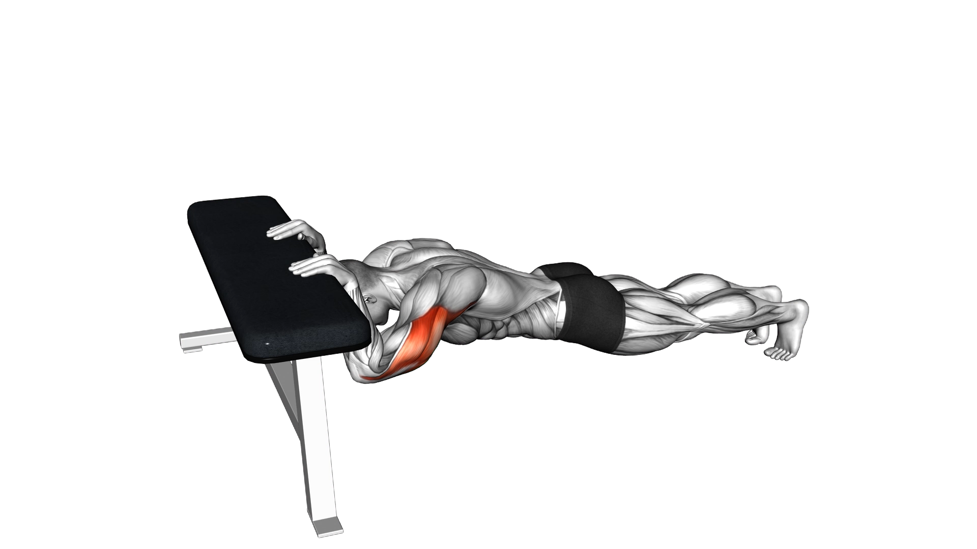 Triceps Press (Head Below Bench) exercise demonstration
