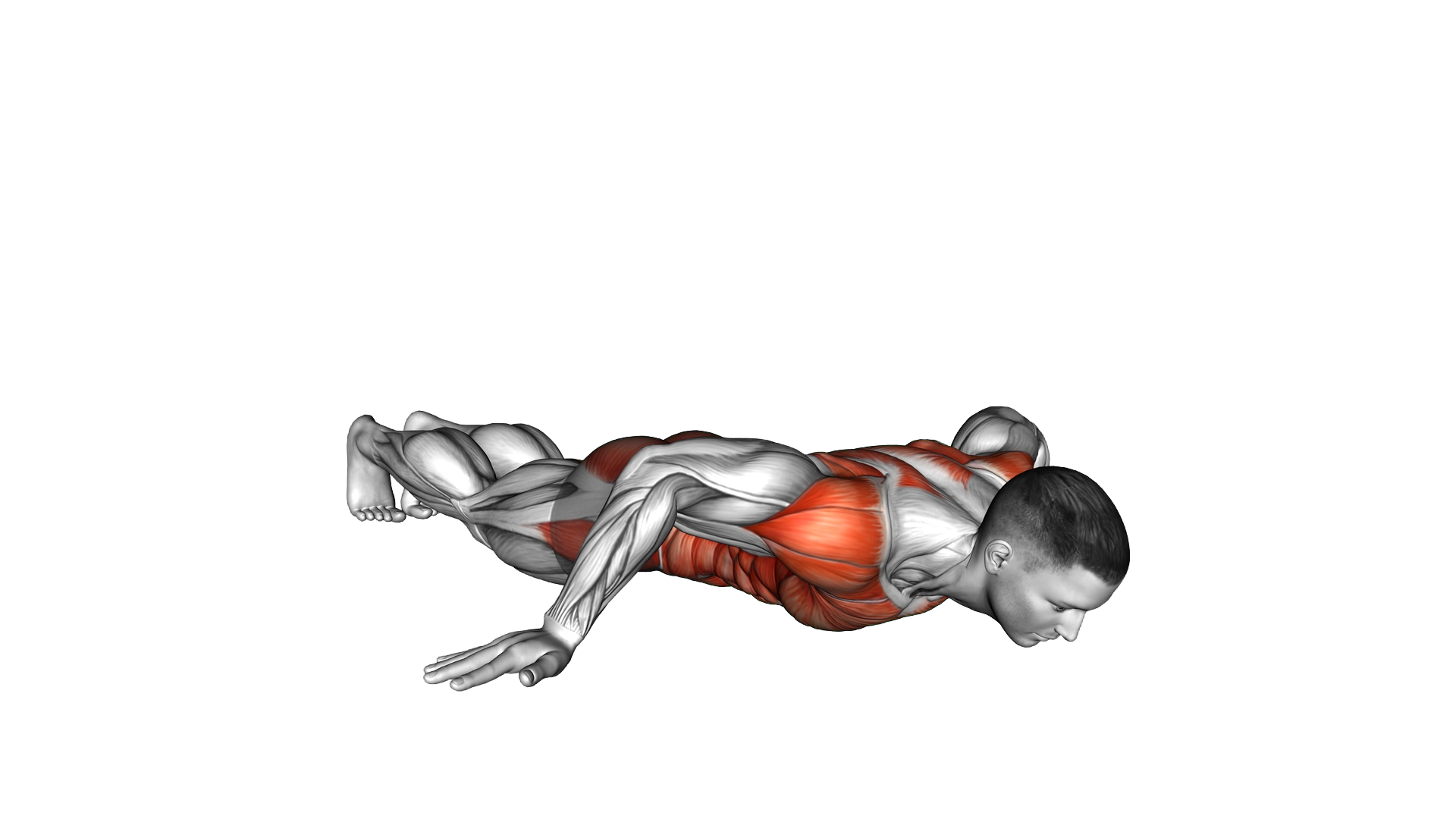 Iron Cross Plank exercise demonstration